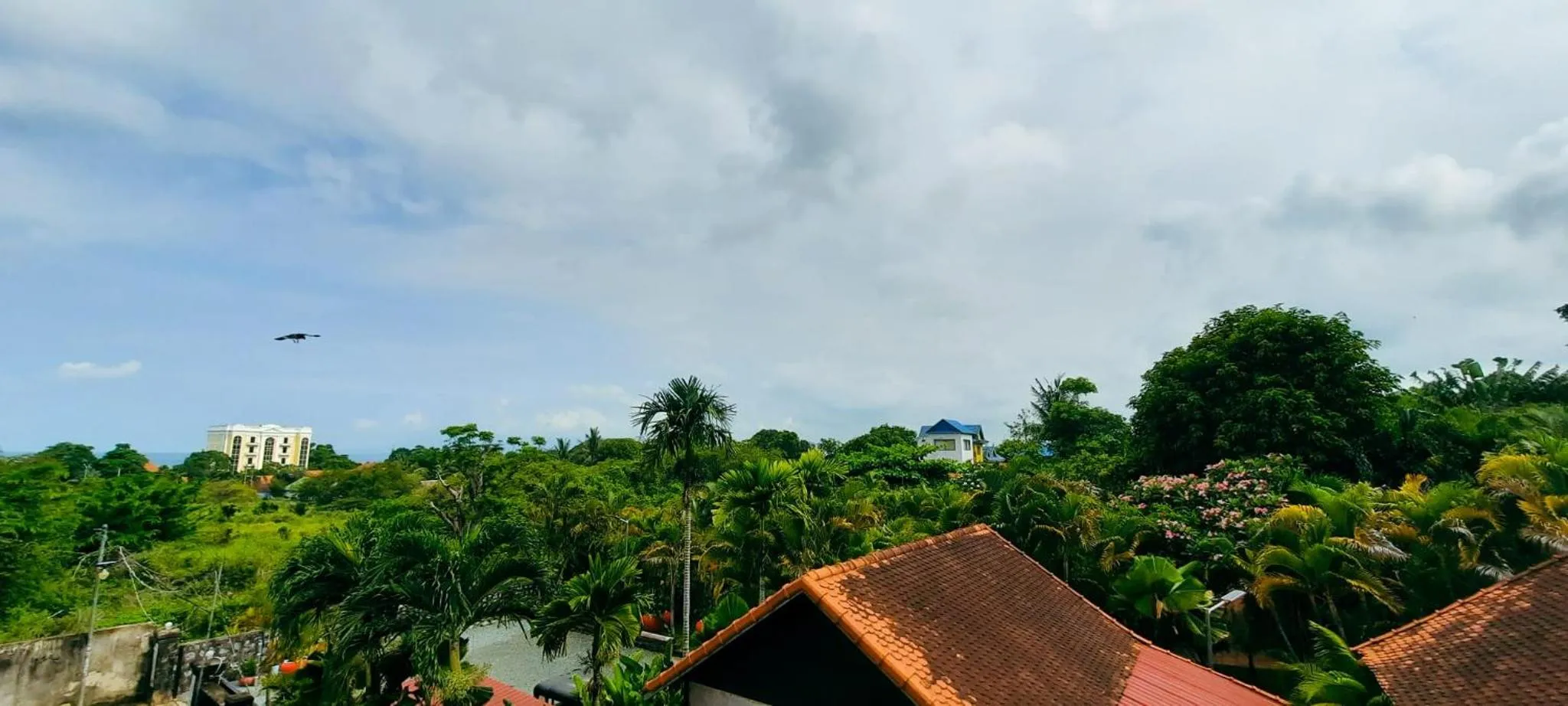 Natural landscape in Summer Resort