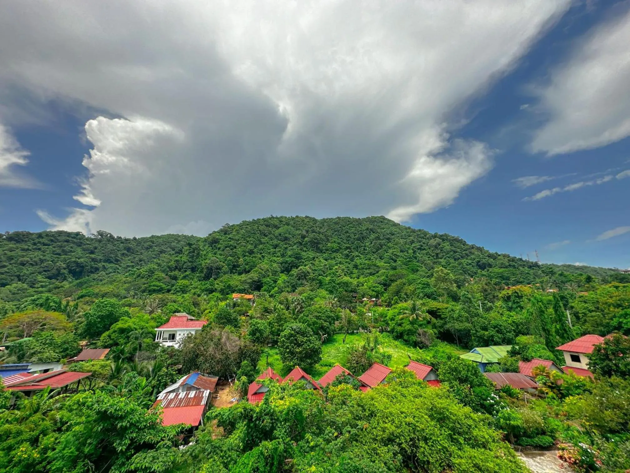 Day in Summer Resort