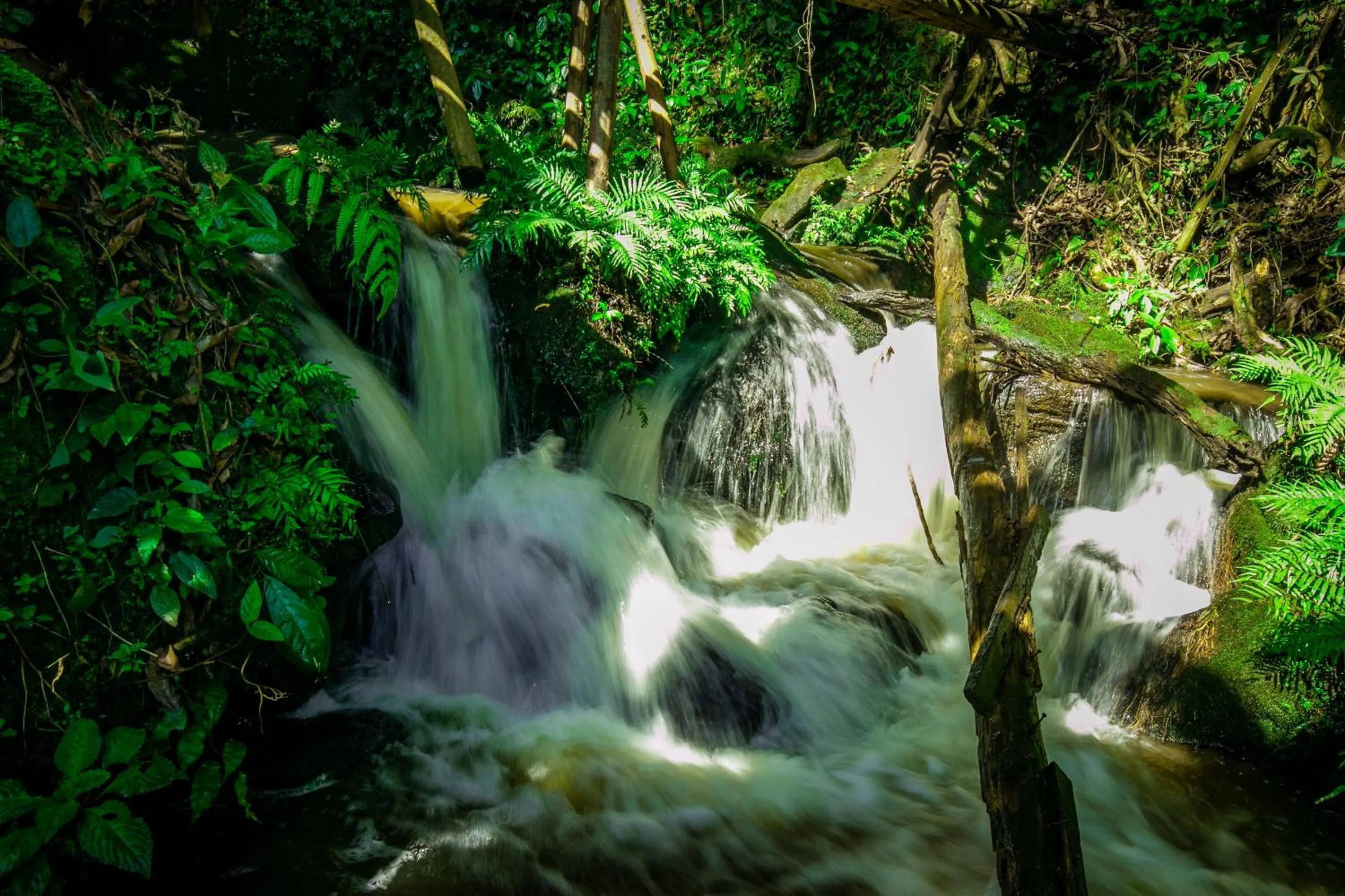 Natural landscape in The Crested Crane Bwindi Hotel