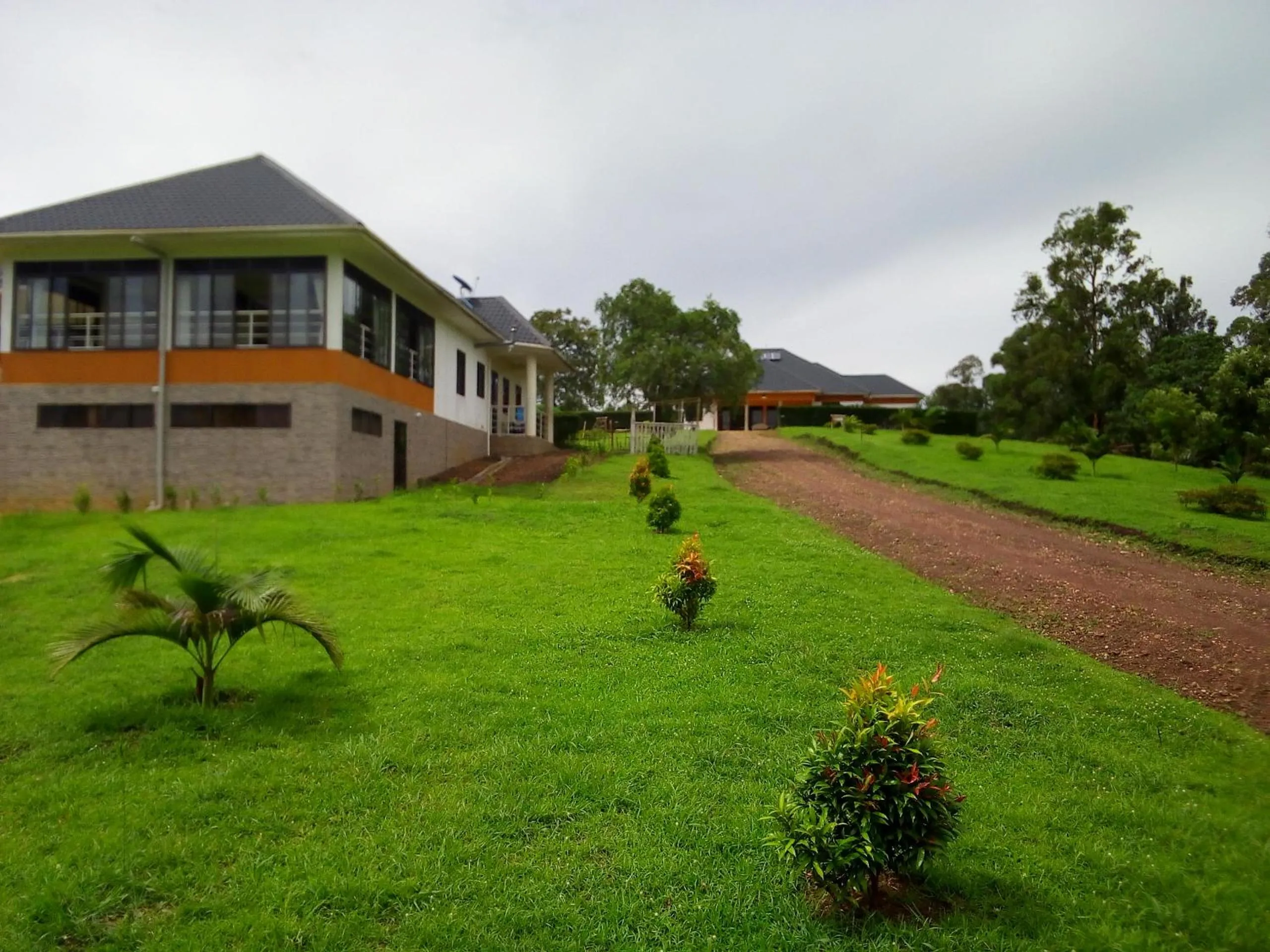 Restaurant/places to eat in The Crested Crane Bwindi Hotel