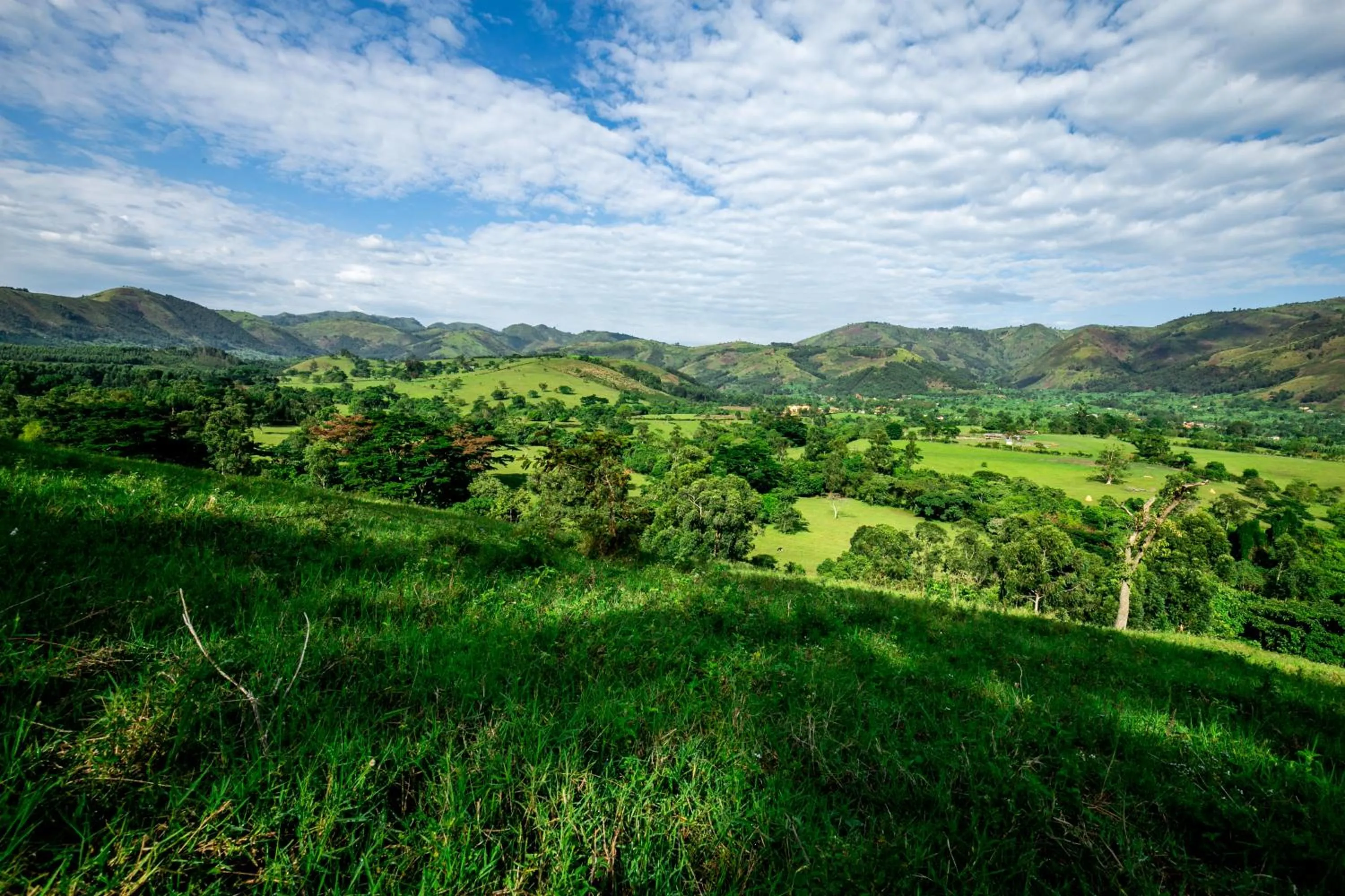 Natural landscape in The Crested Crane Bwindi Hotel