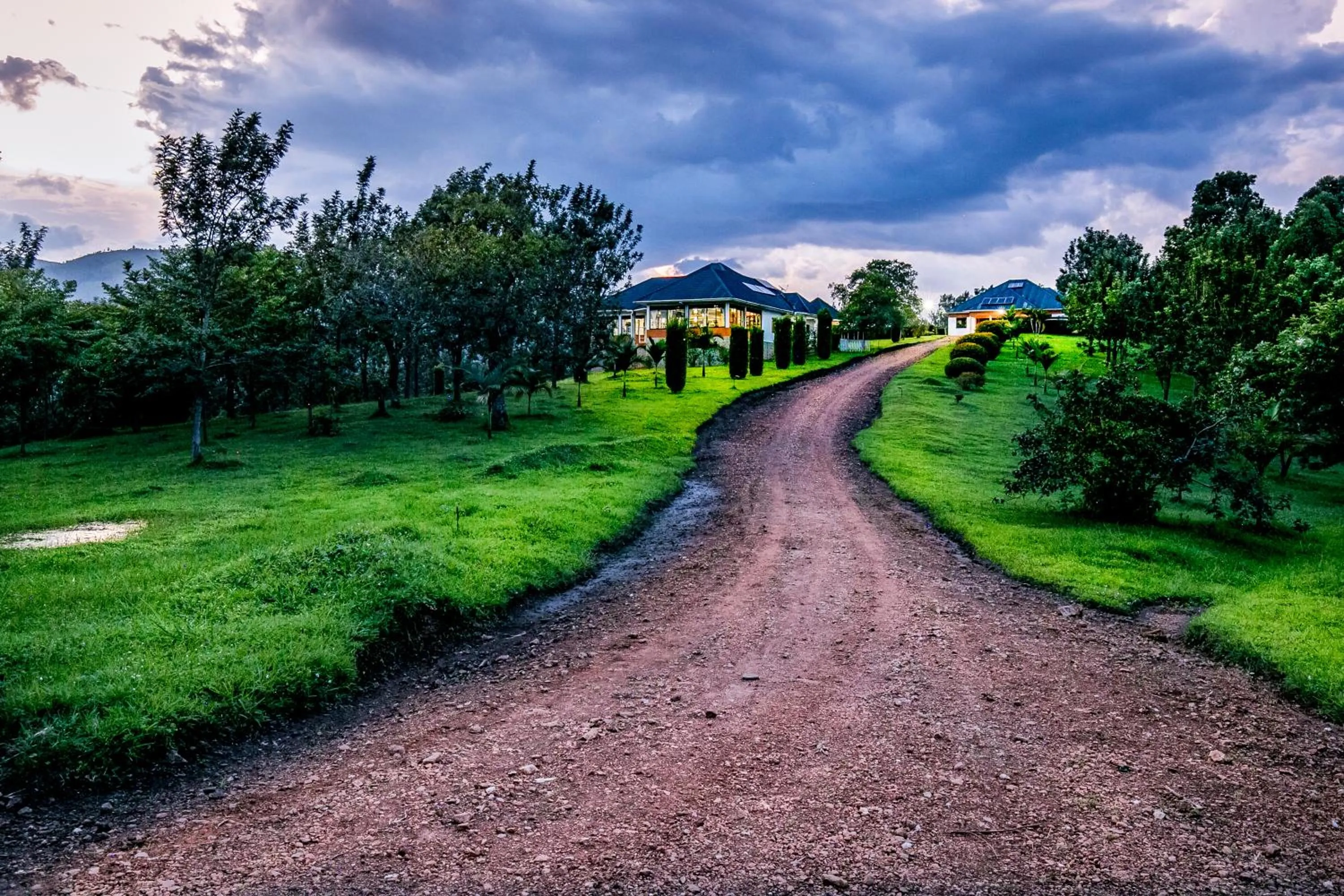 Natural landscape in The Crested Crane Bwindi Hotel