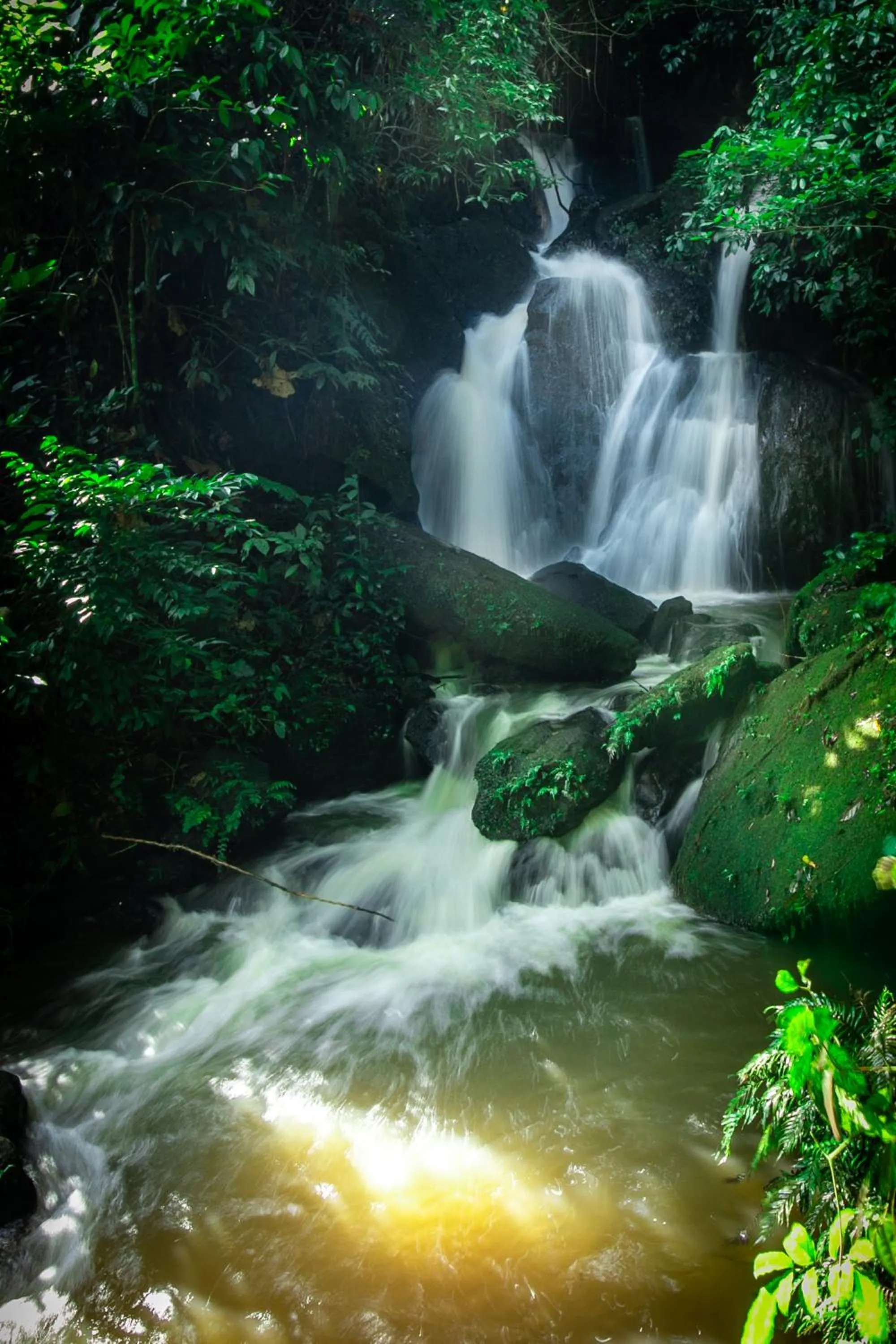 Natural landscape in The Crested Crane Bwindi Hotel
