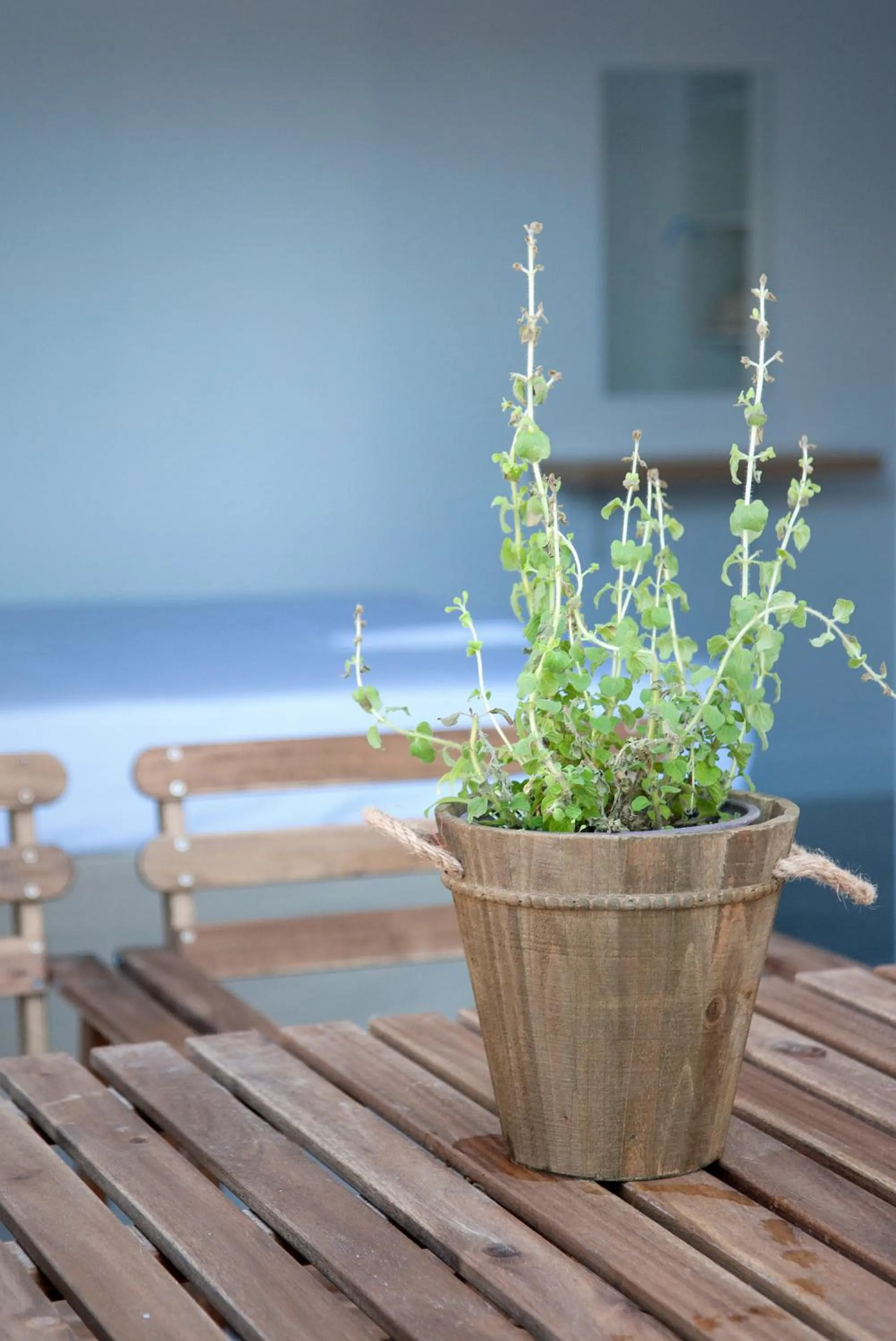 Decorative detail in Axos Apartments