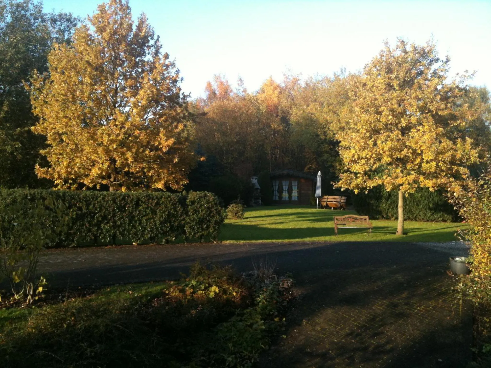 Garden in Hotel Restaurant Fischer