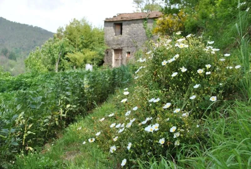 Property building in Il Ghiro B&B