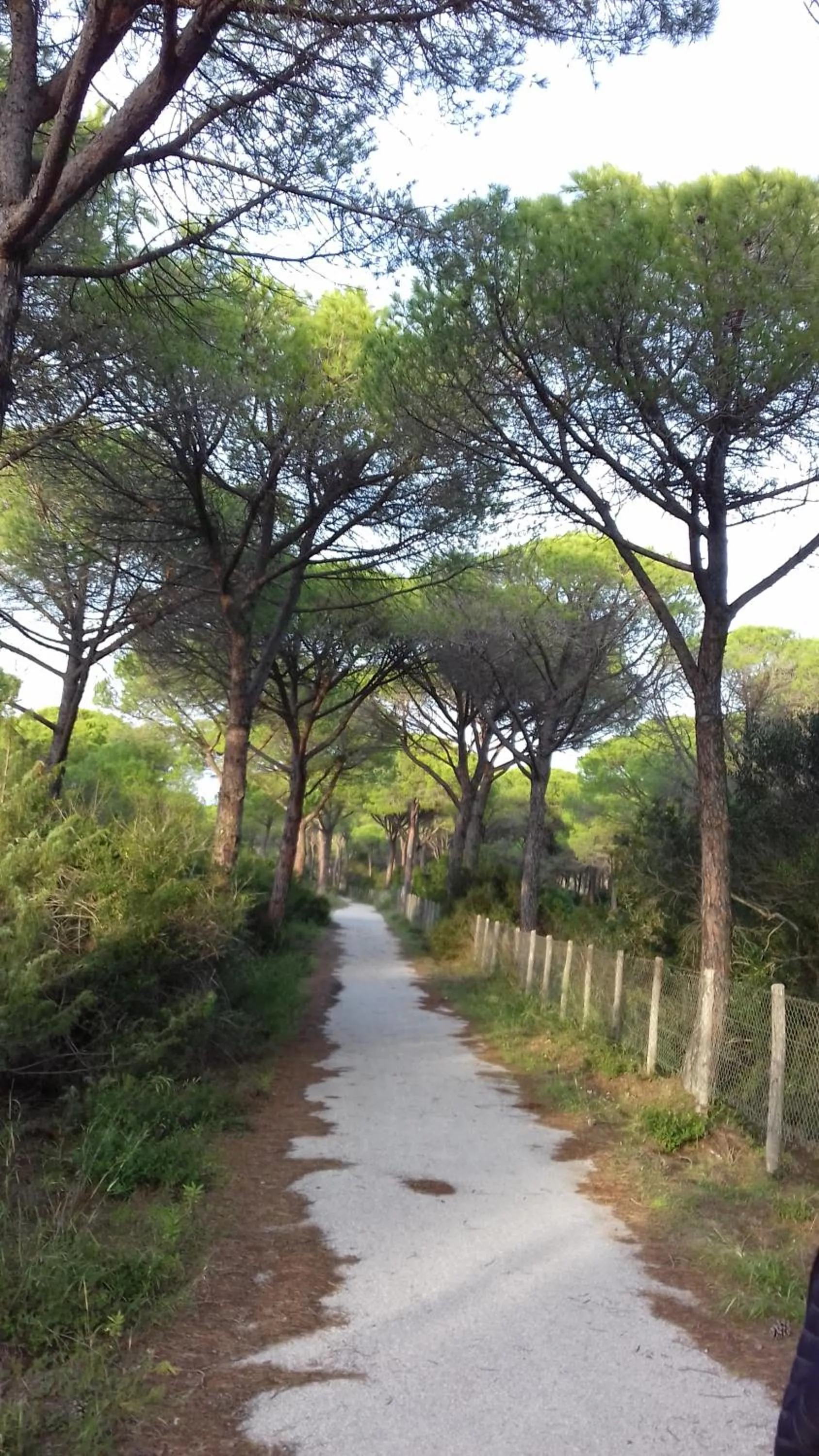 Hotel B&B Rispescia Grosseto