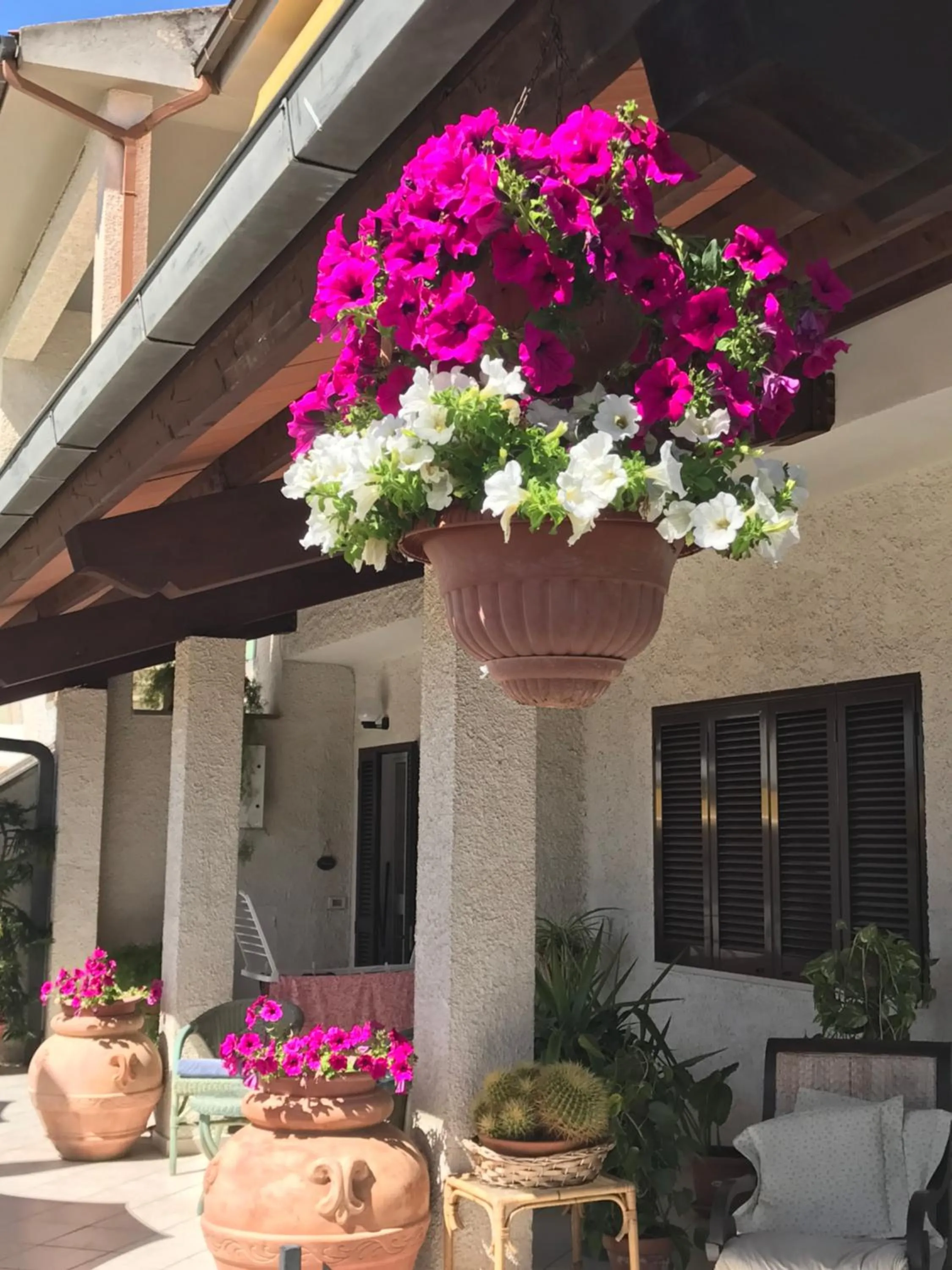 Hotel B&B Rispescia Grosseto