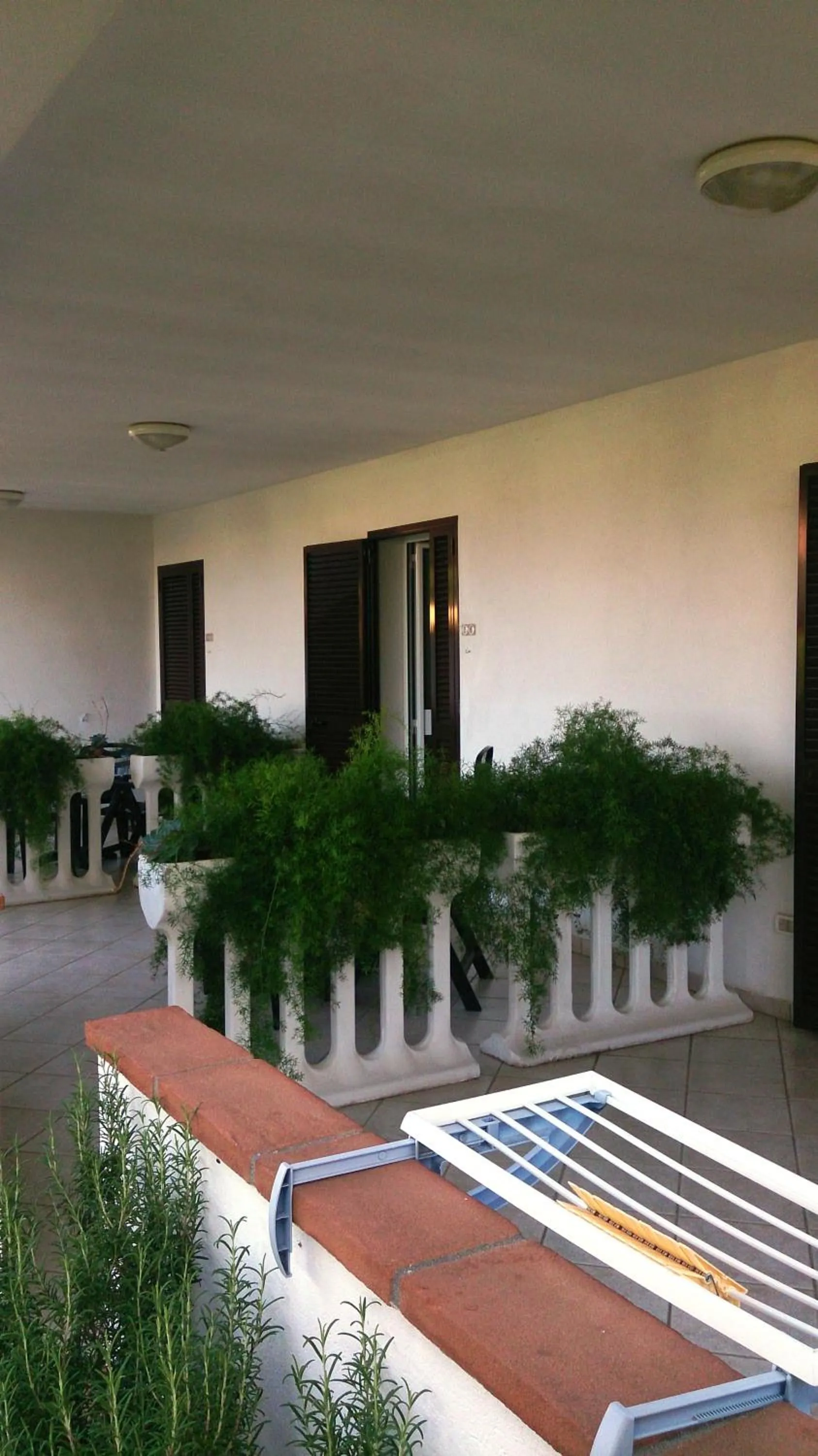 Garden view in Hotel B&B Rispescia Grosseto