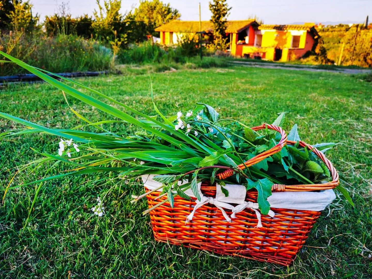 Garden in Country House Erba Regina