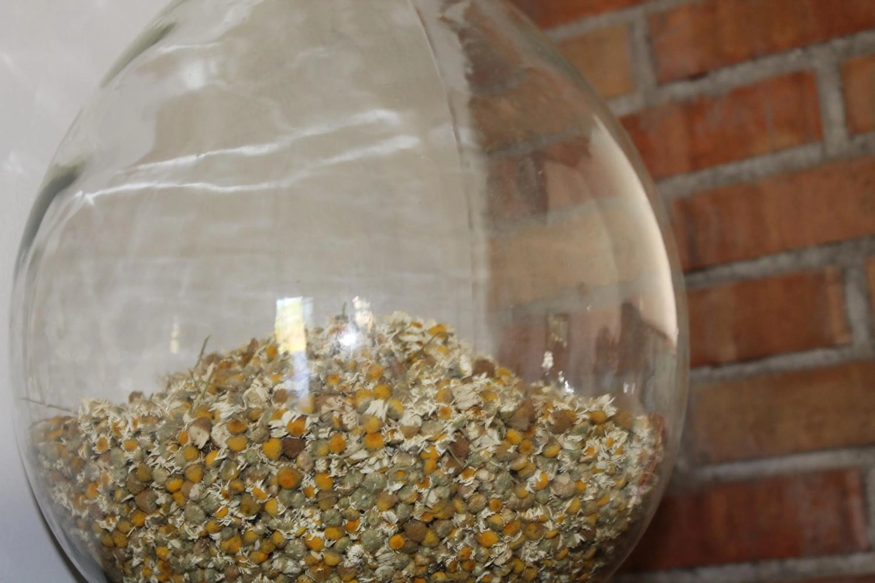 Lounge or bar in Country House Erba Regina