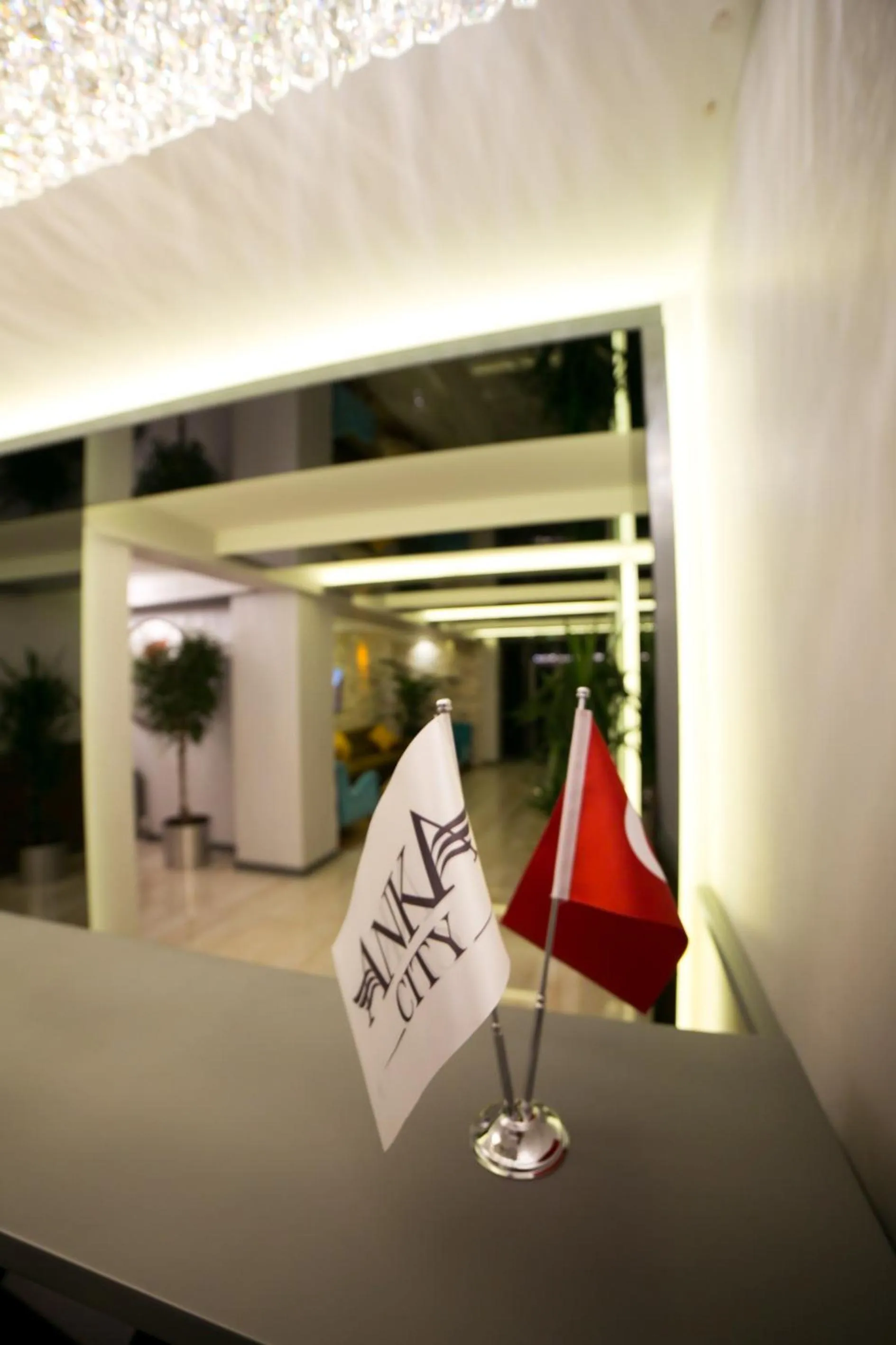 Lobby or reception in Ankacity Suit Flat