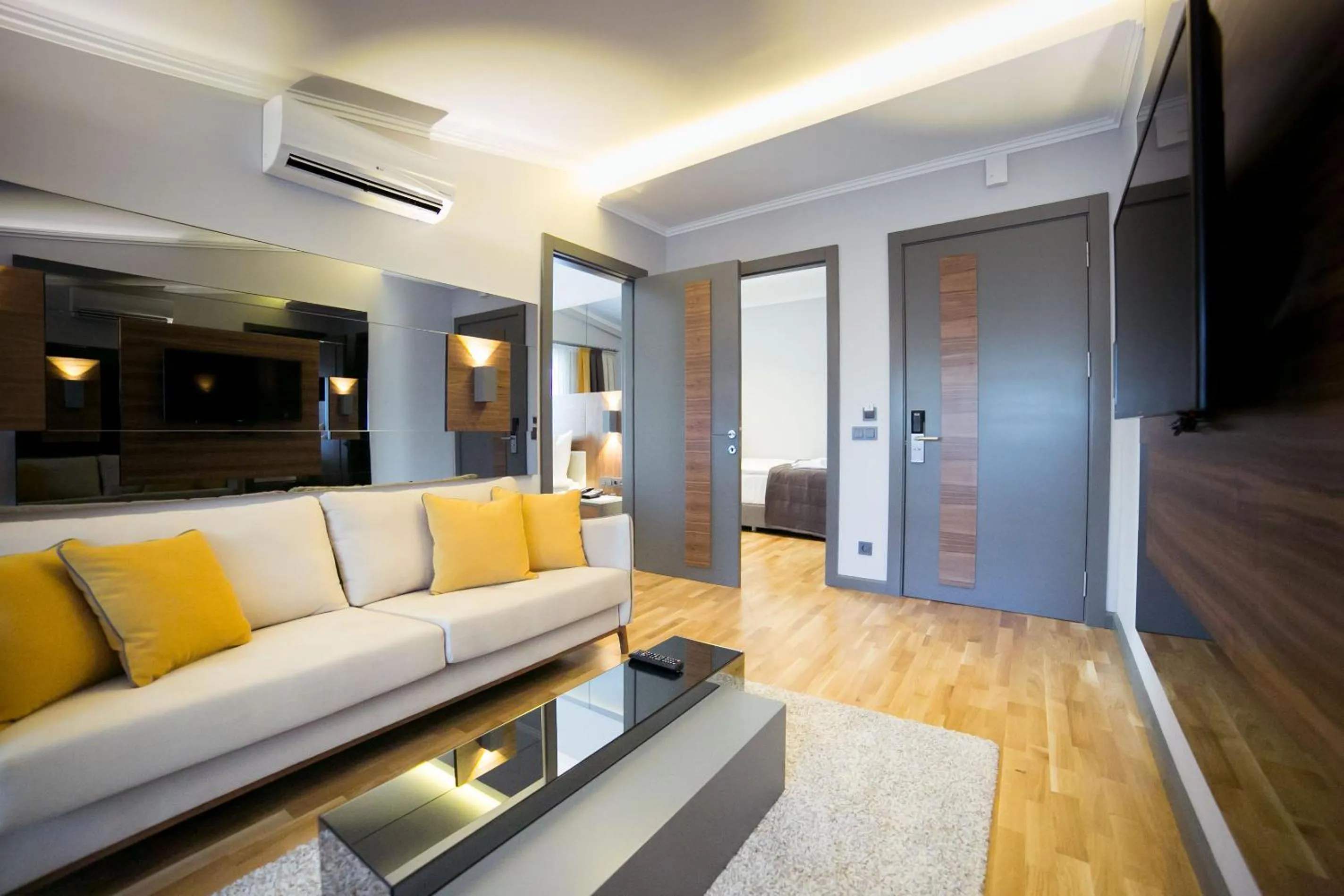 TV and multimedia in Ankacity Suit Flat