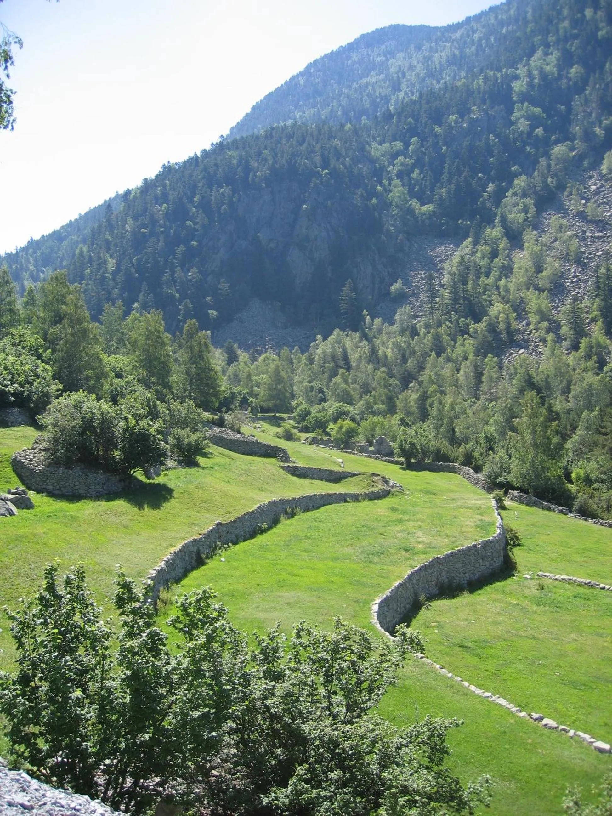 Spring in Apartaments Shusski by Nexta