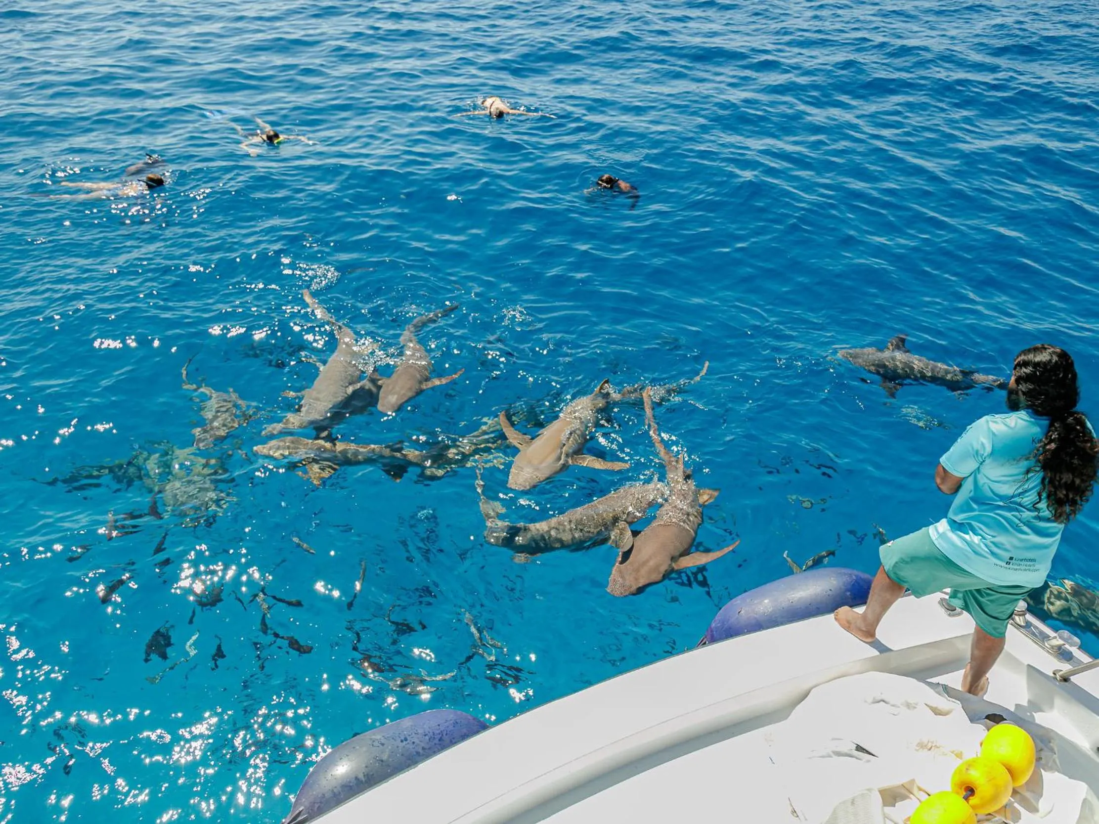Snorkeling in Kinan Retreat