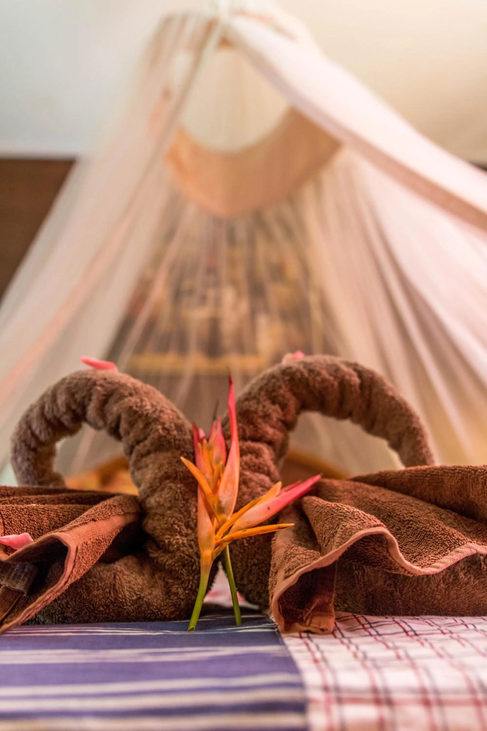 Decorative detail, Bed in Blue Lagoon Villa