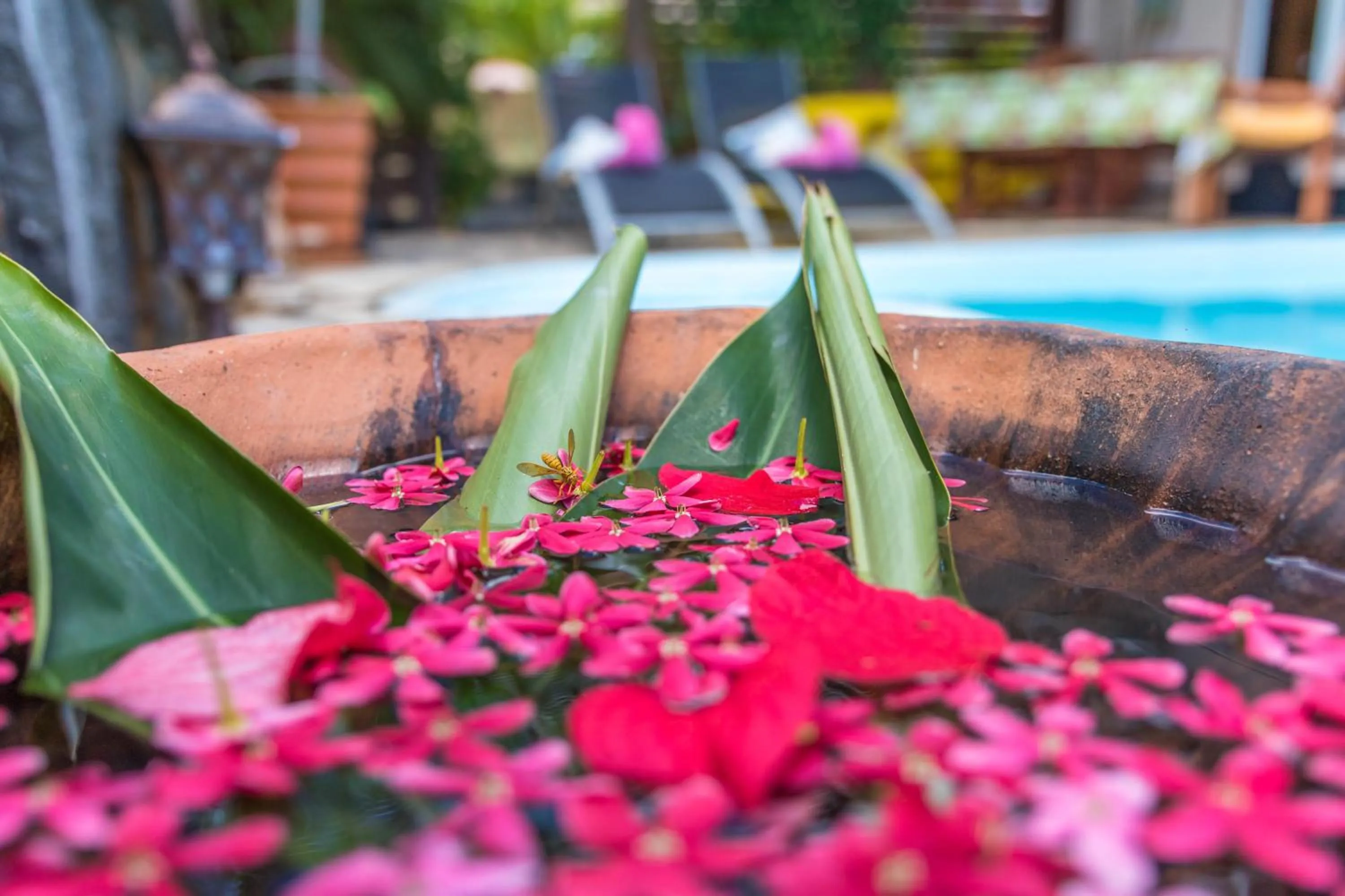 Patio in Blue Lagoon Villa