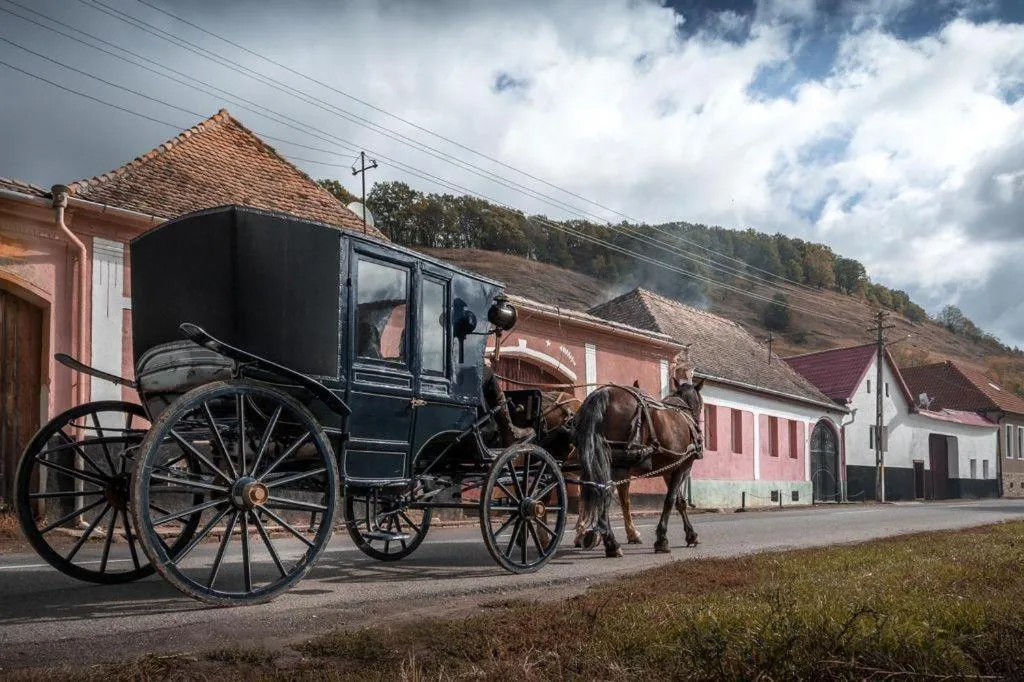 Natural landscape in Valea Verde Retreat Transilvania