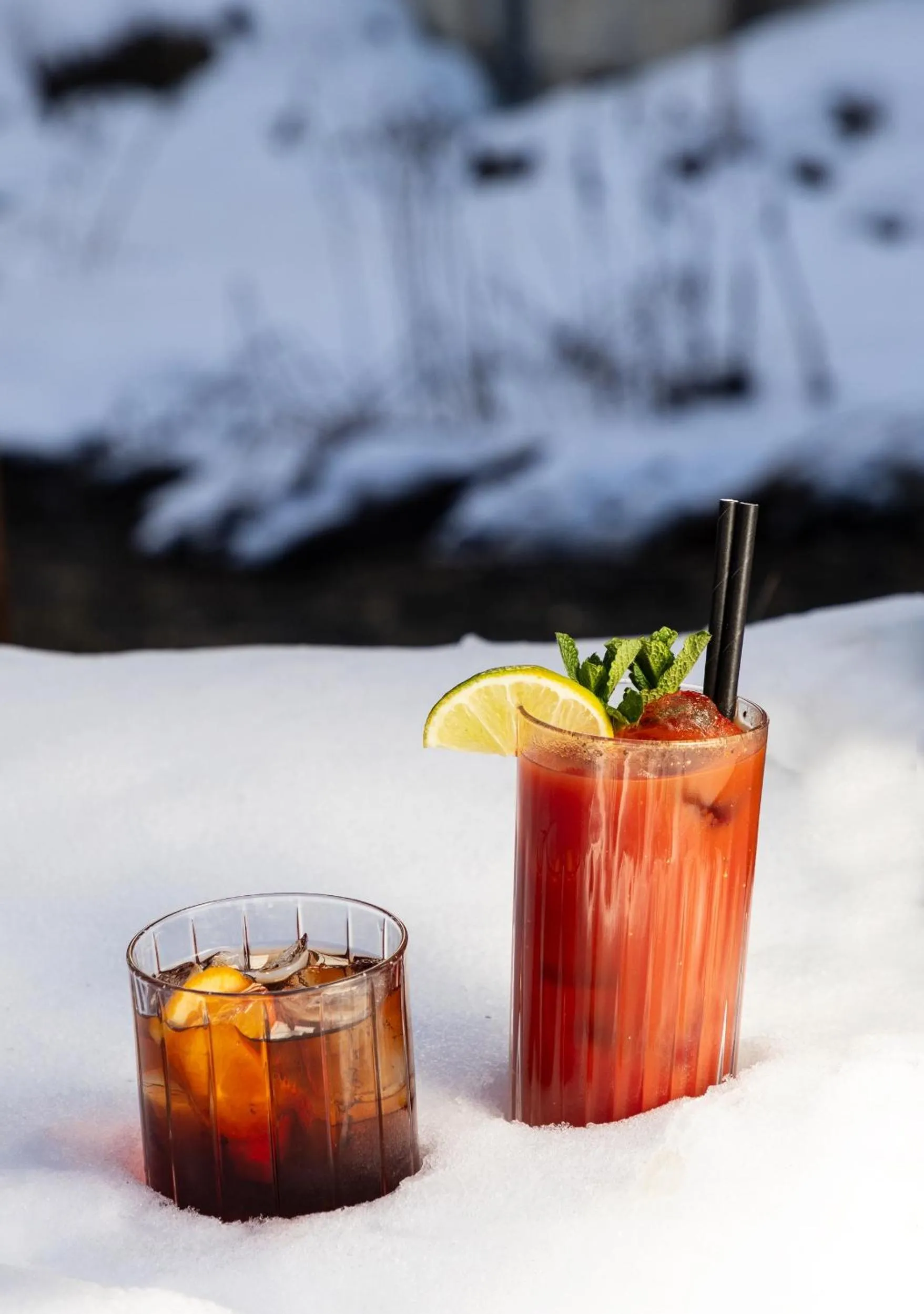 Hotel Euroski Mountain Resort & Spa