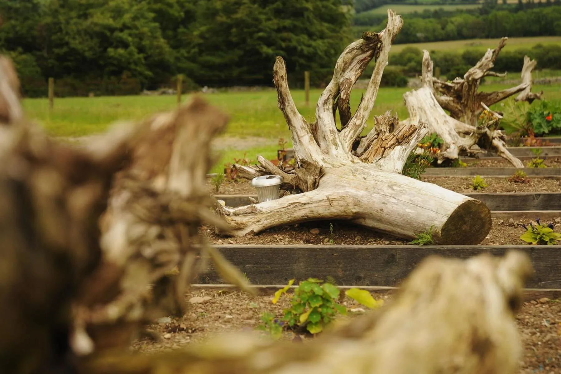 Natural landscape in Lus Mor