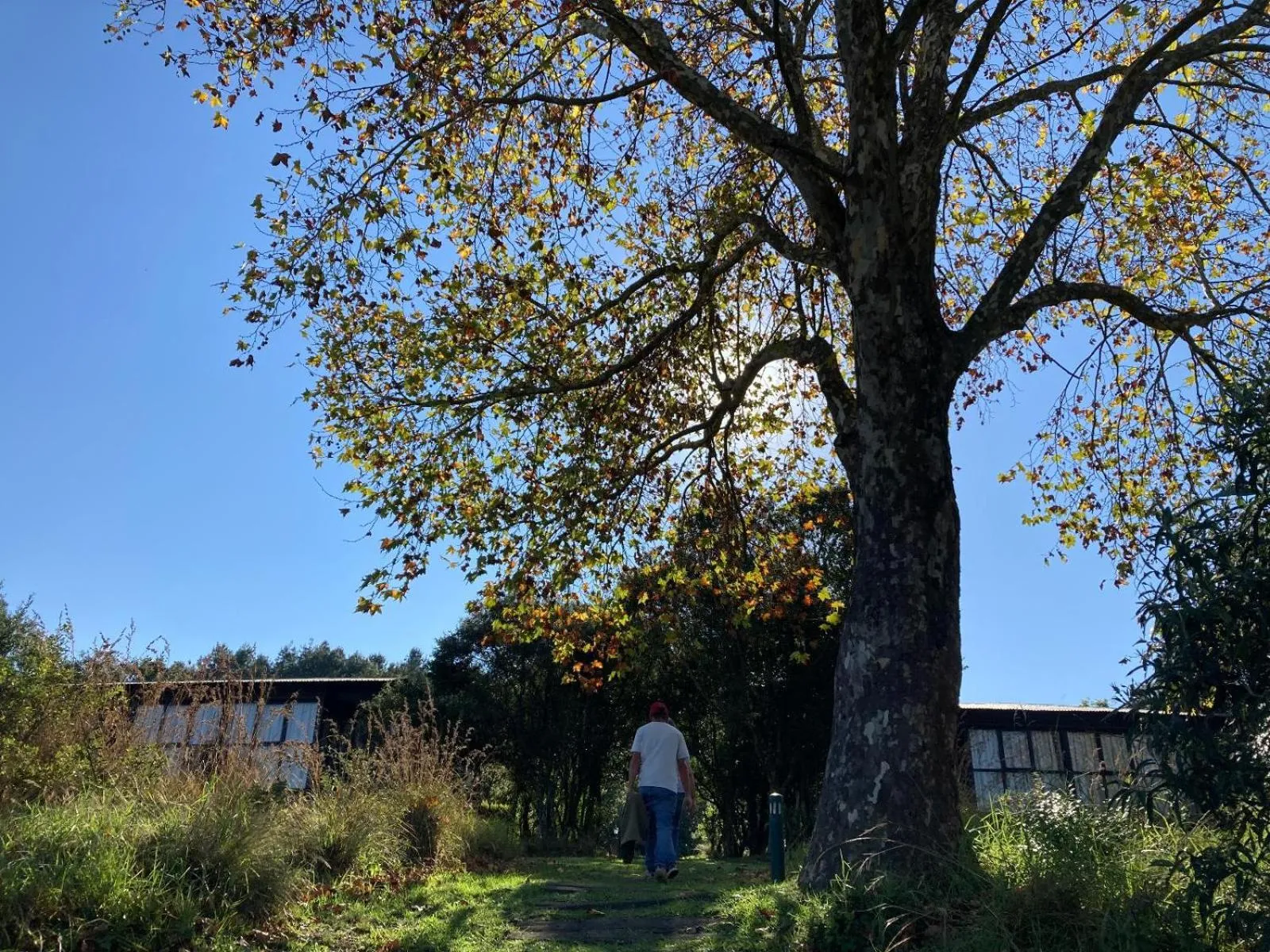 Property building in Midlands Forest Lodge