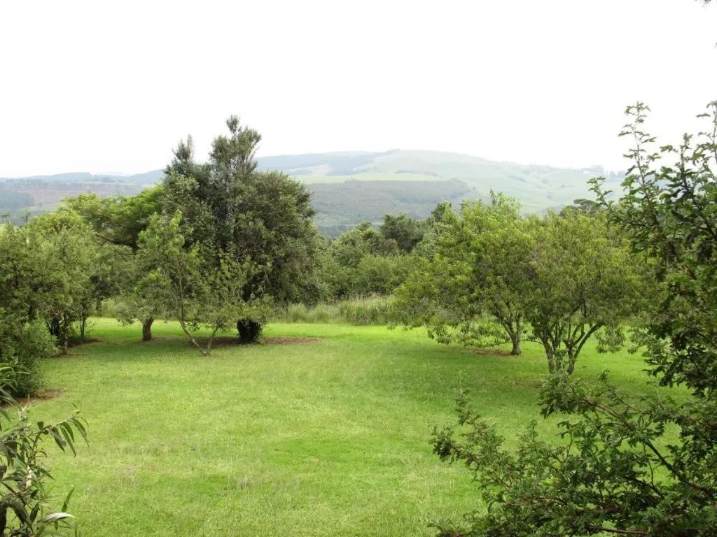 Garden in Midlands Forest Lodge
