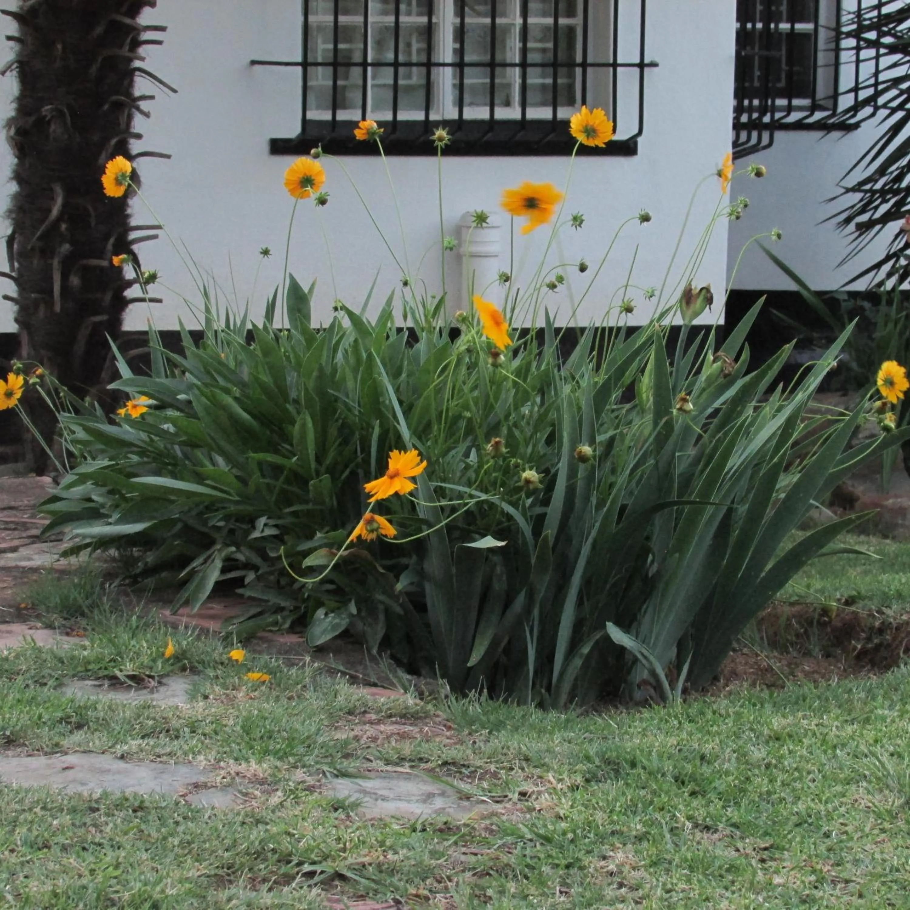 Garden in Absolute Leisure Cottages