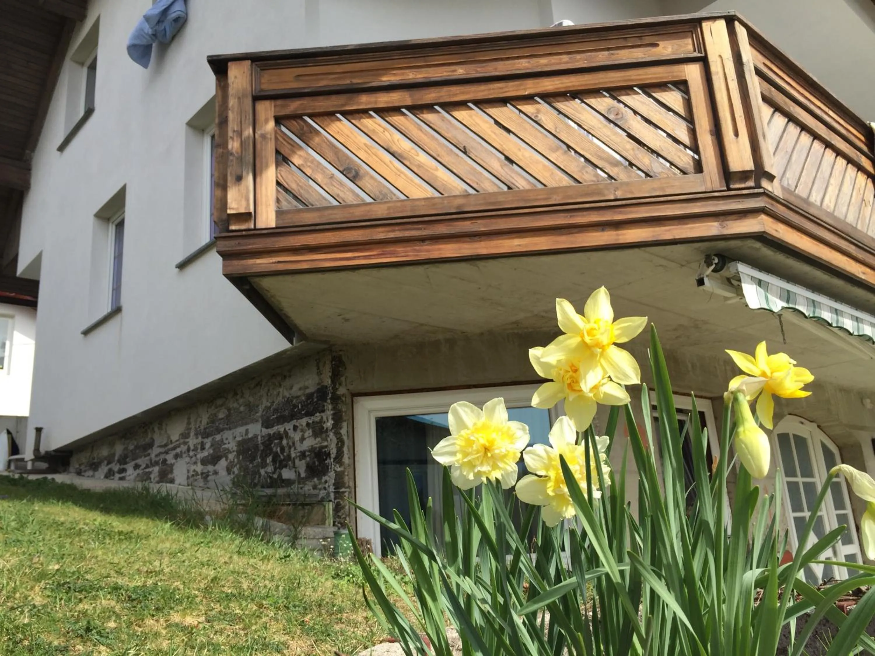 Animals in Rudi Hiti's Guest House