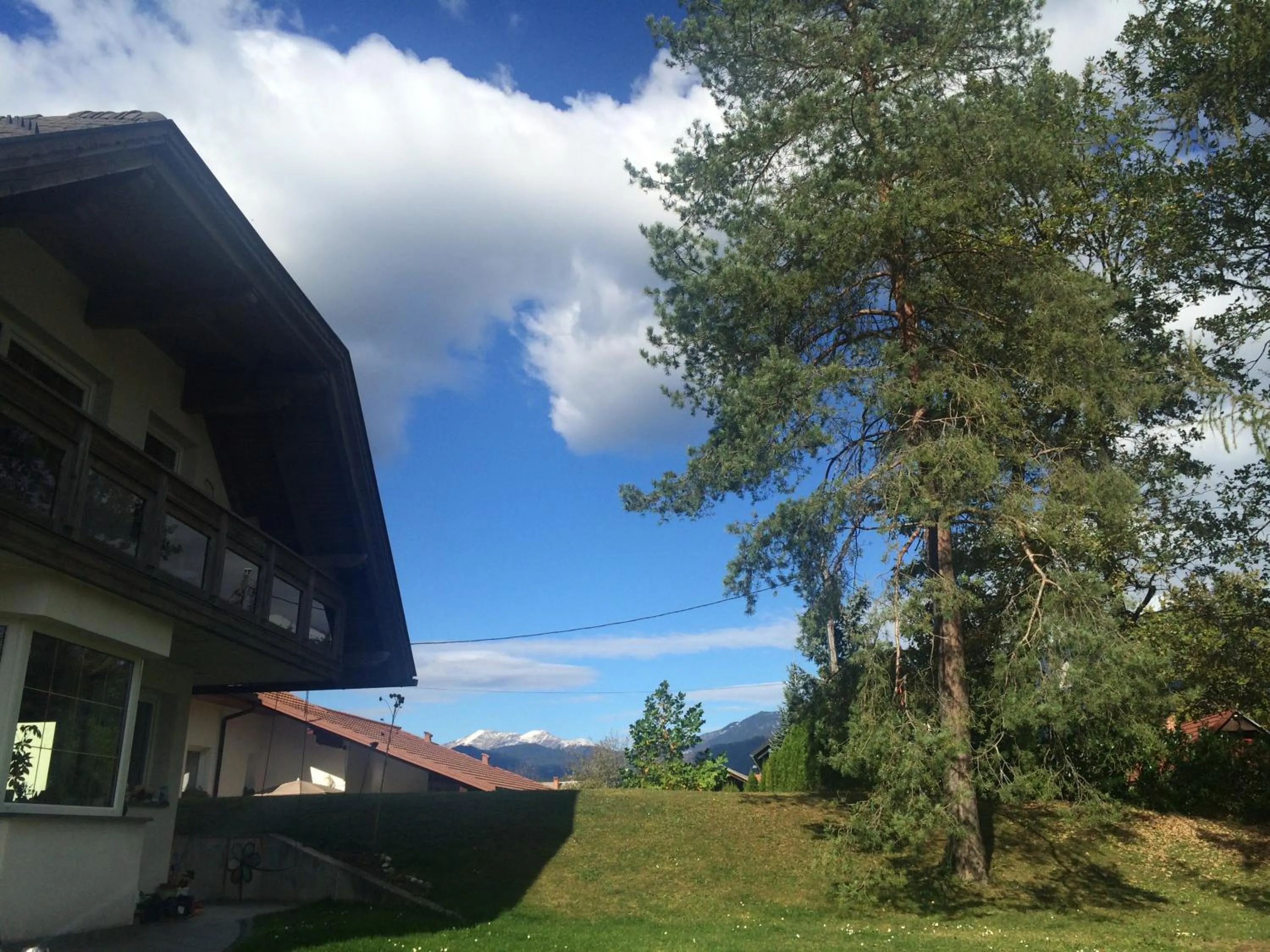 Garden in Rudi Hiti's Guest House