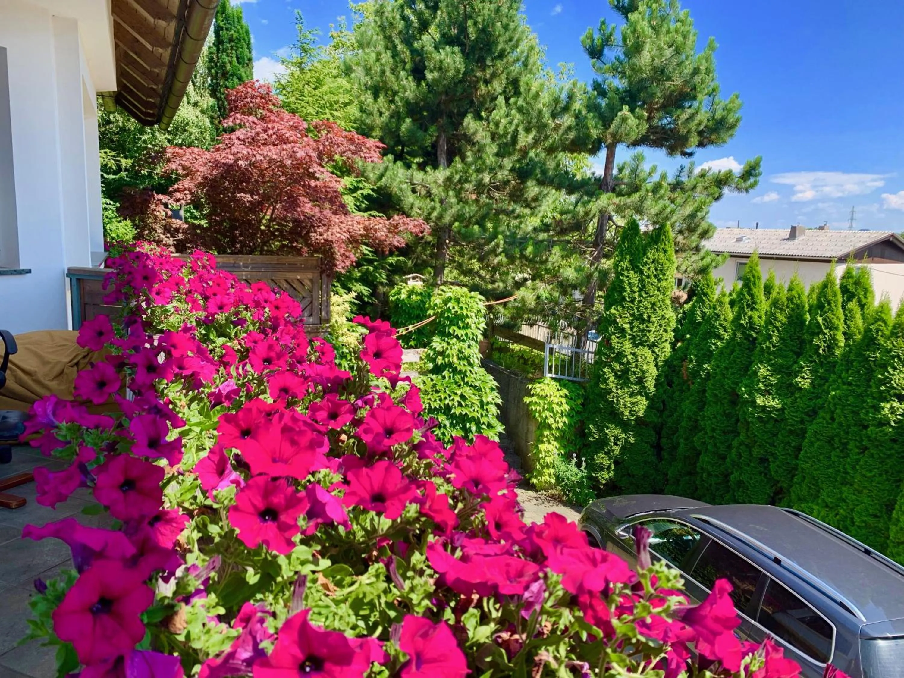 Rudi Hiti's Guest House