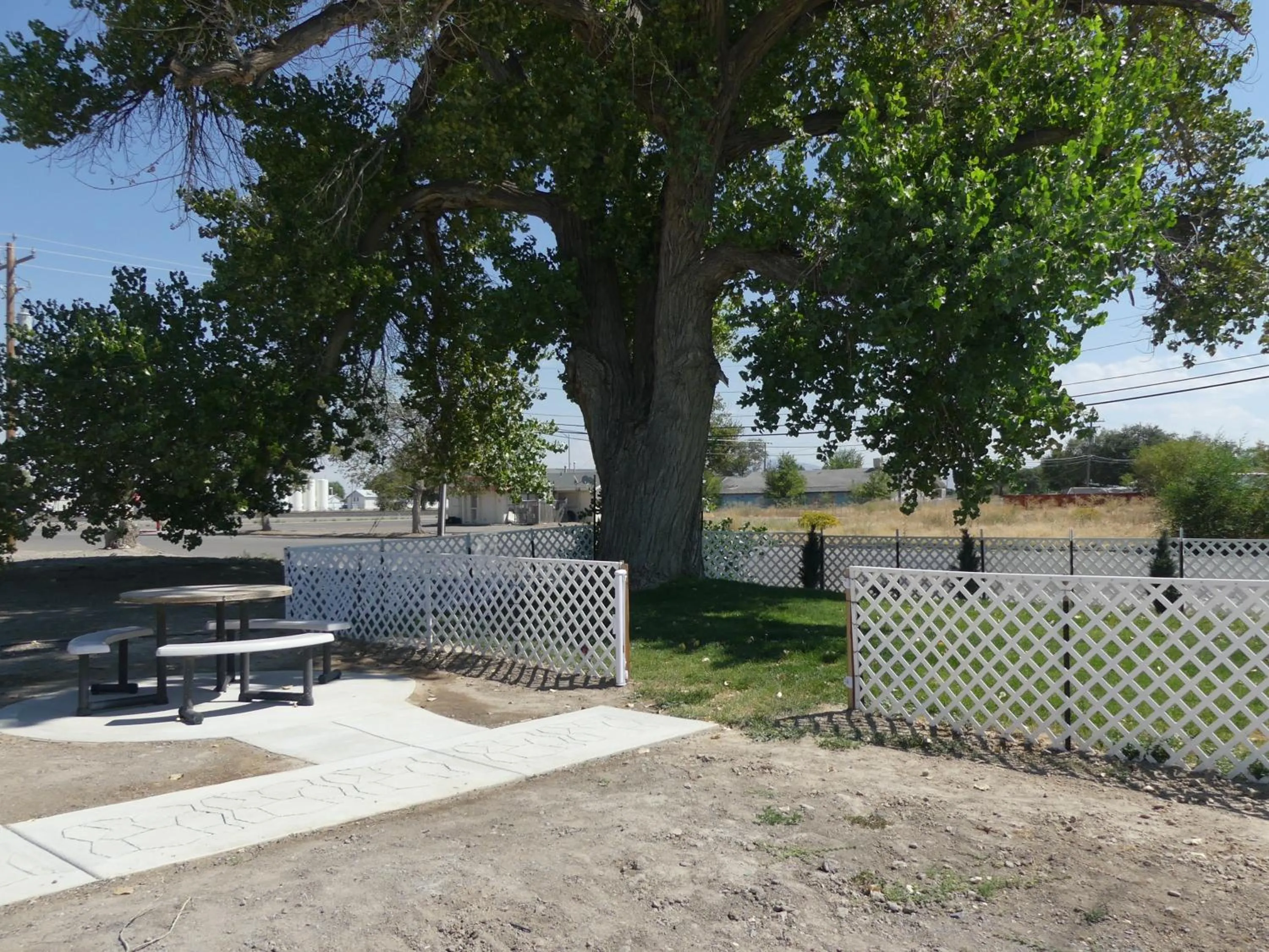 pet friendly in Big Chief Motel