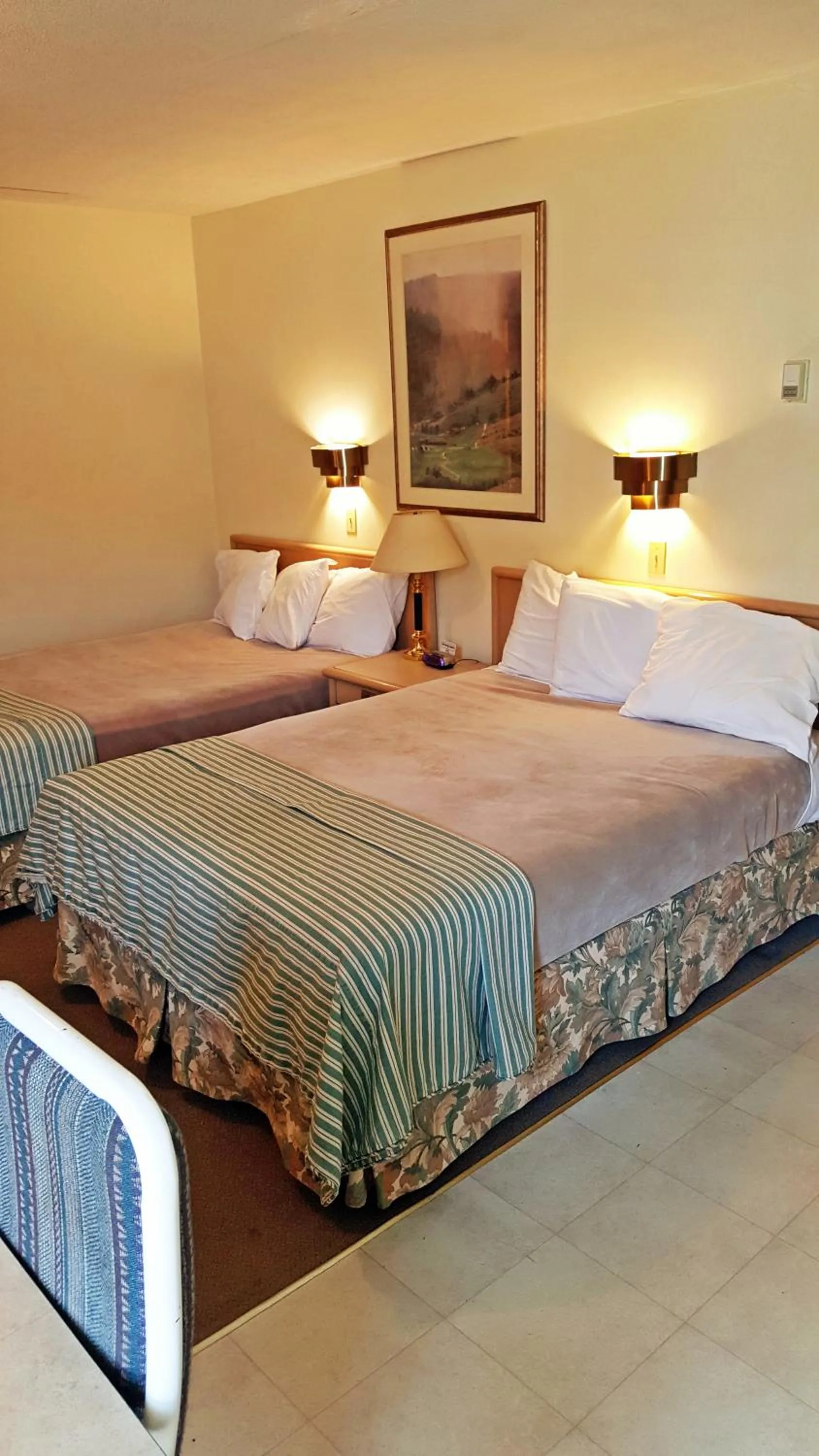 Bed in Badlands Motel