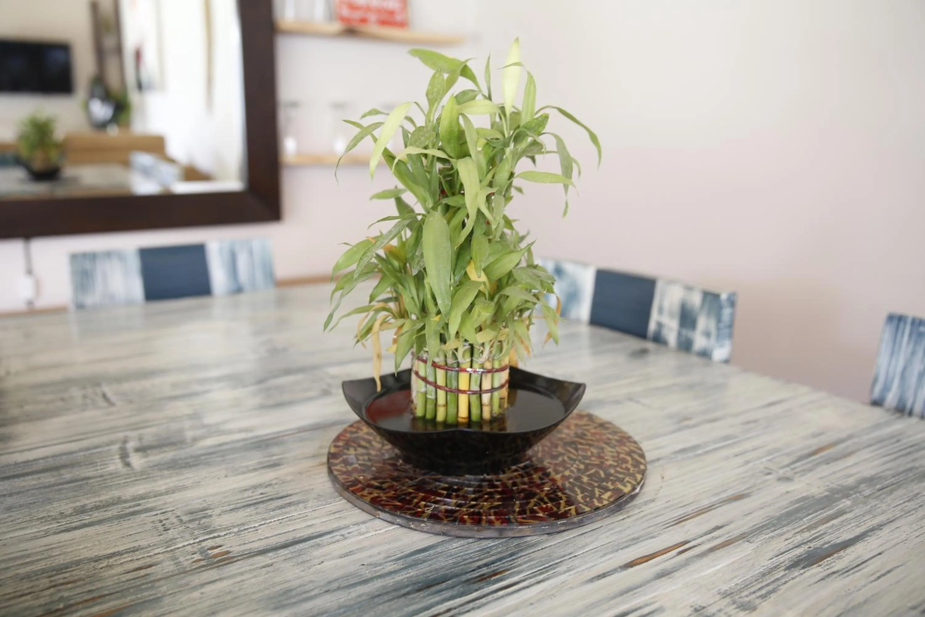 Day in Samana Villas