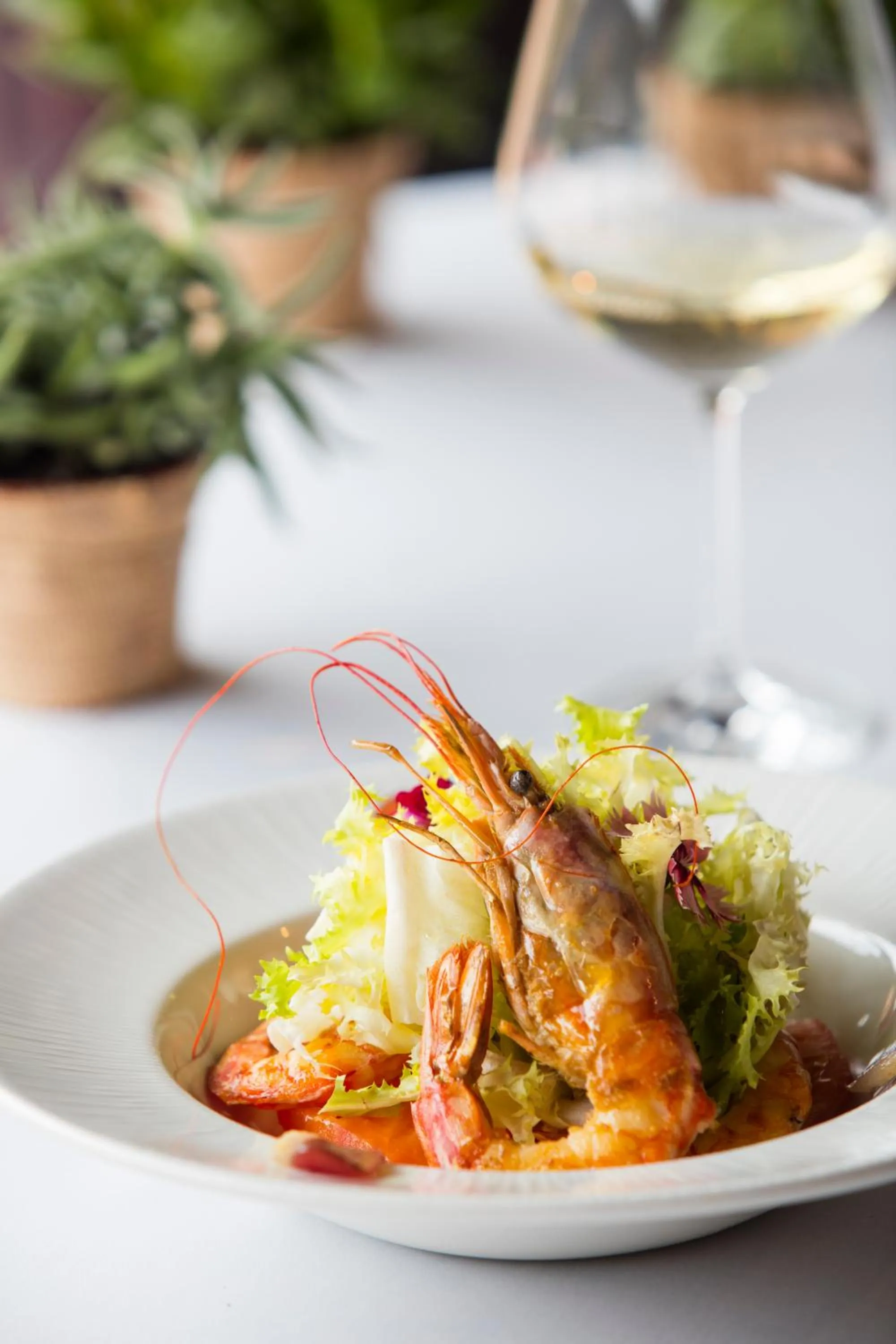 Restaurant/places to eat in Acta Arthotel