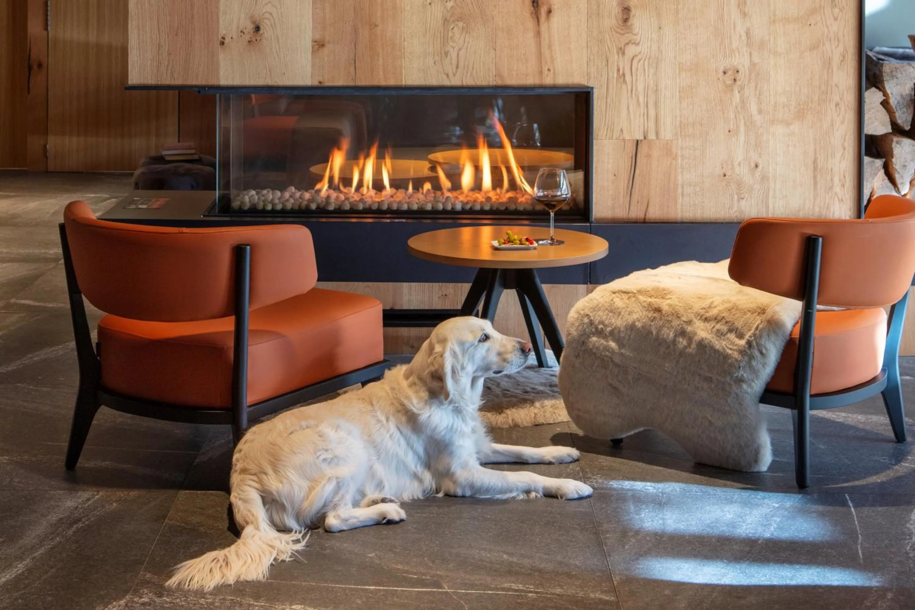 Communal lounge/ TV room in Acta Arthotel