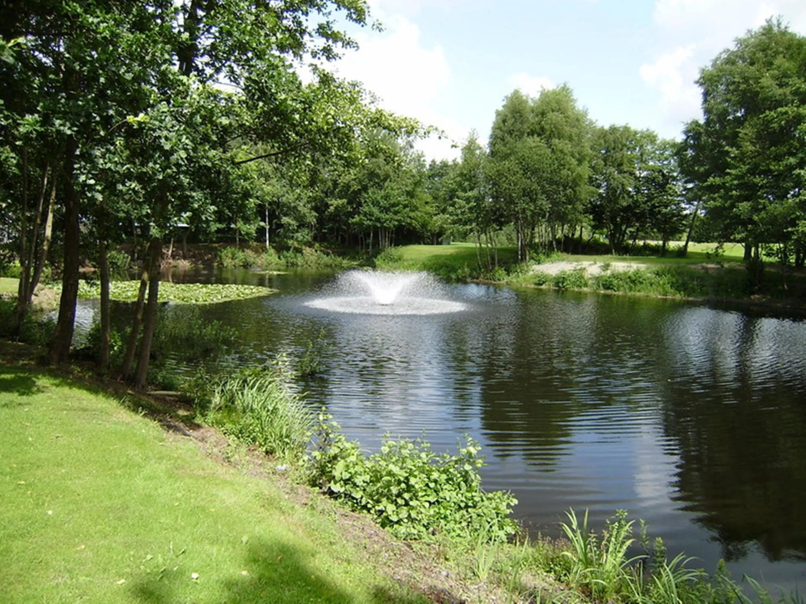 Natural landscape in Hotel zur Post - Economy Rooms