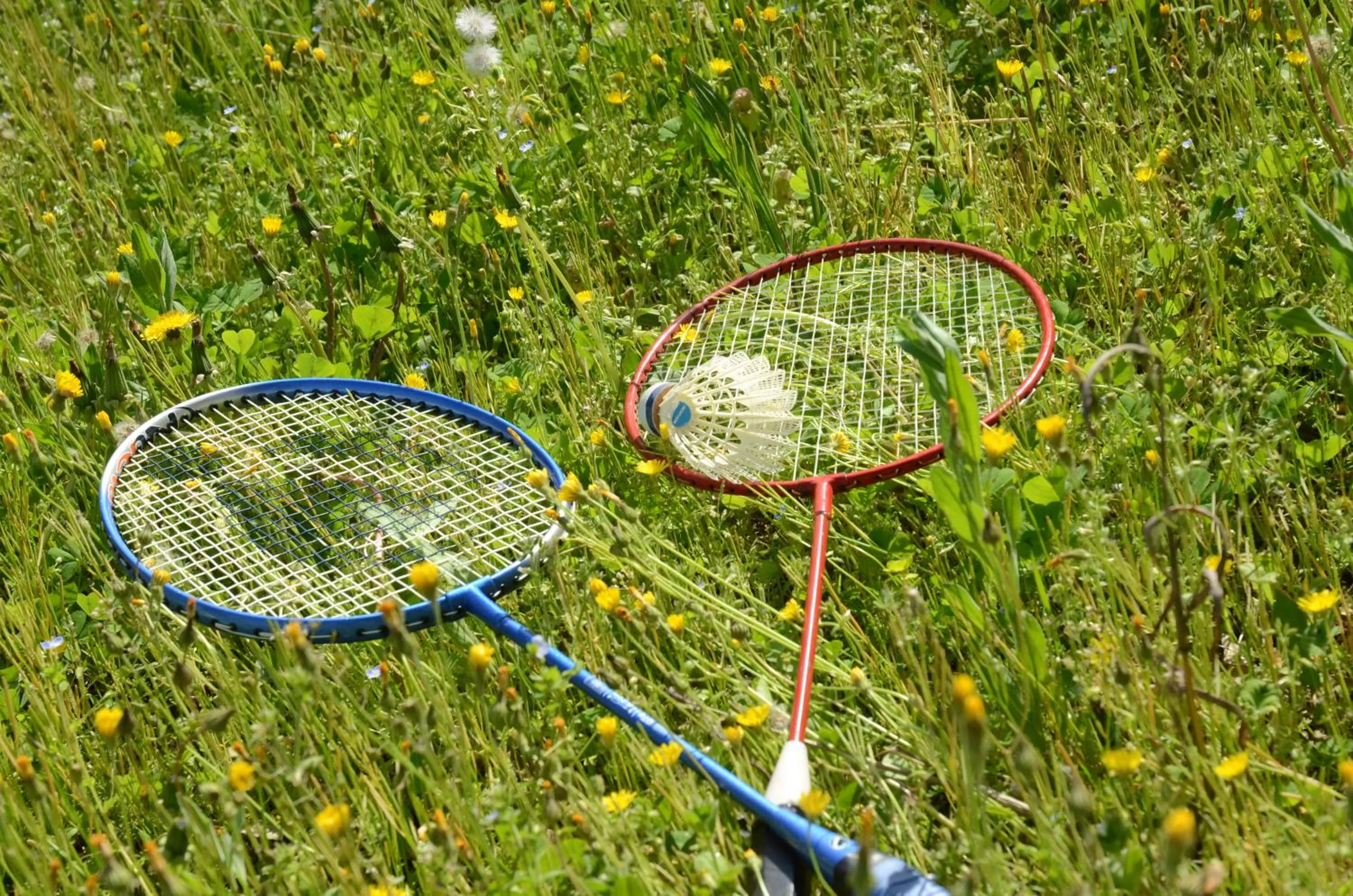 Garden in Villa des Cammaous