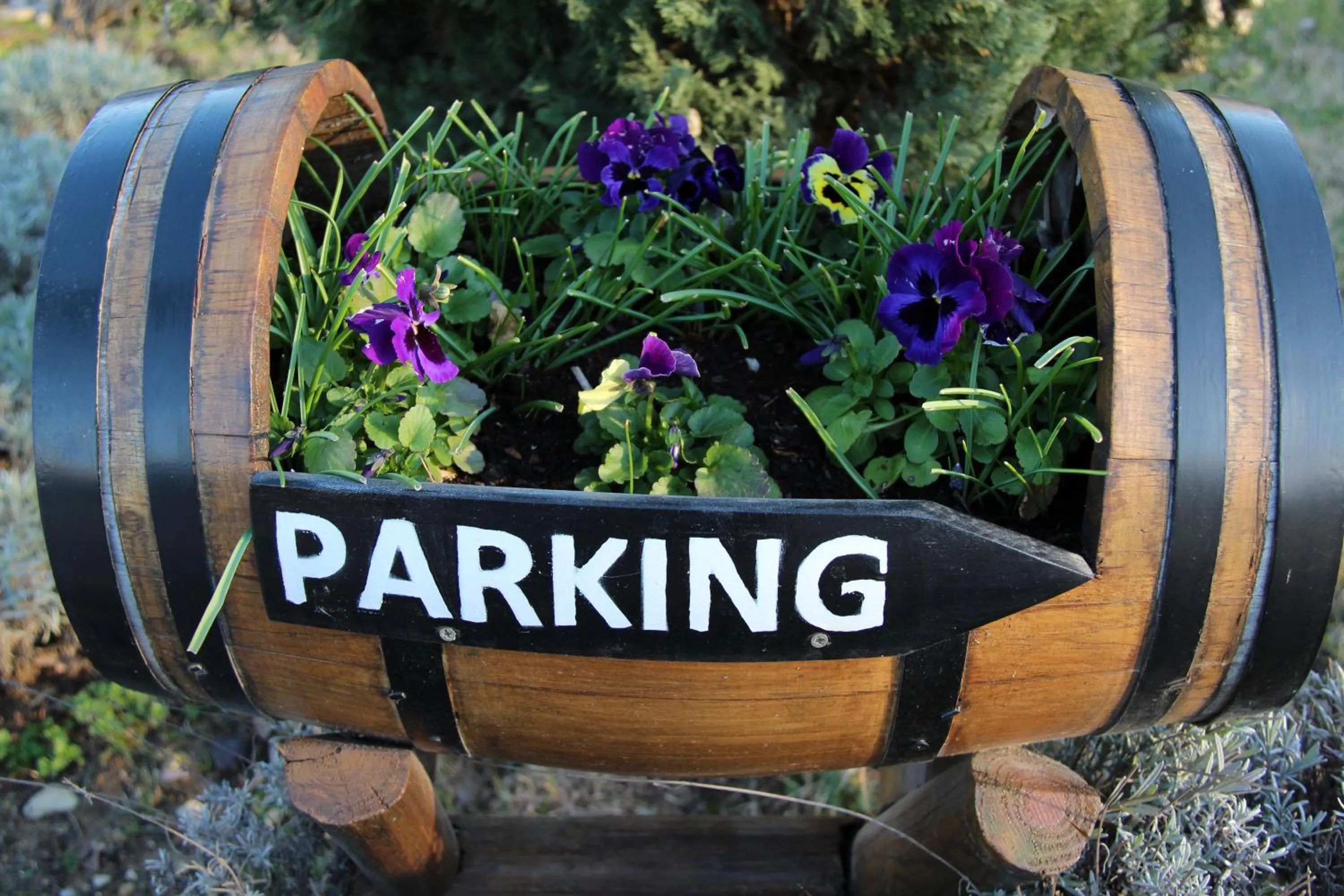 Facade/entrance in Villa des Cammaous