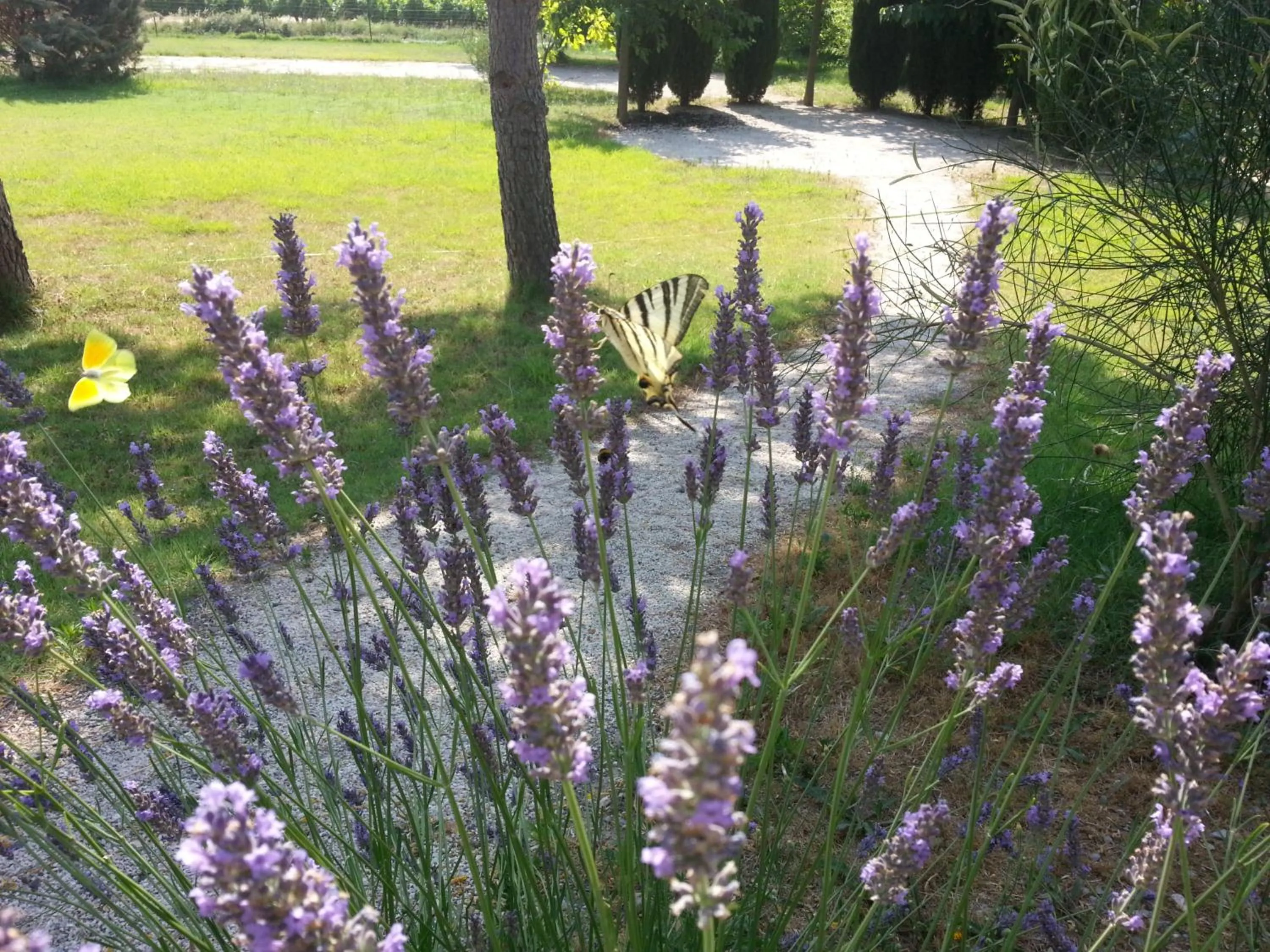 Garden in Villa des Cammaous