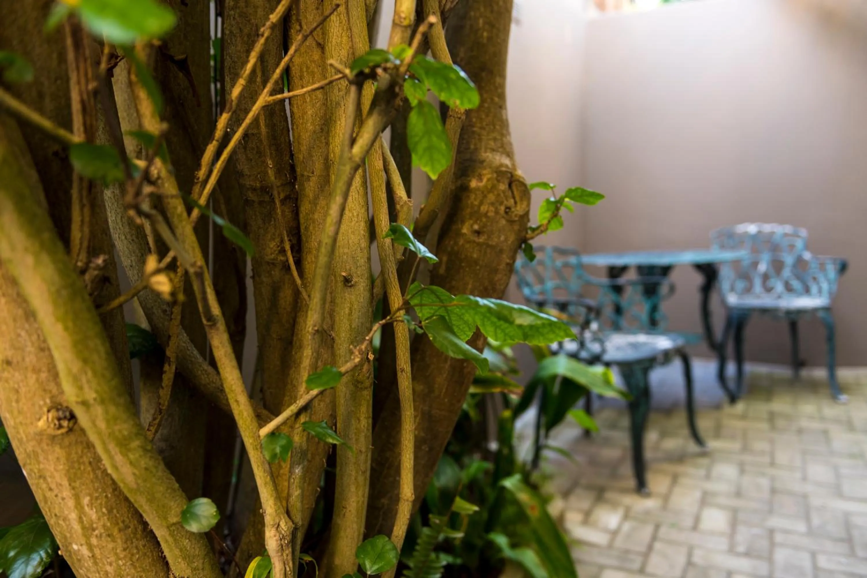 Balcony/Terrace in Kingfisher GuestHouse