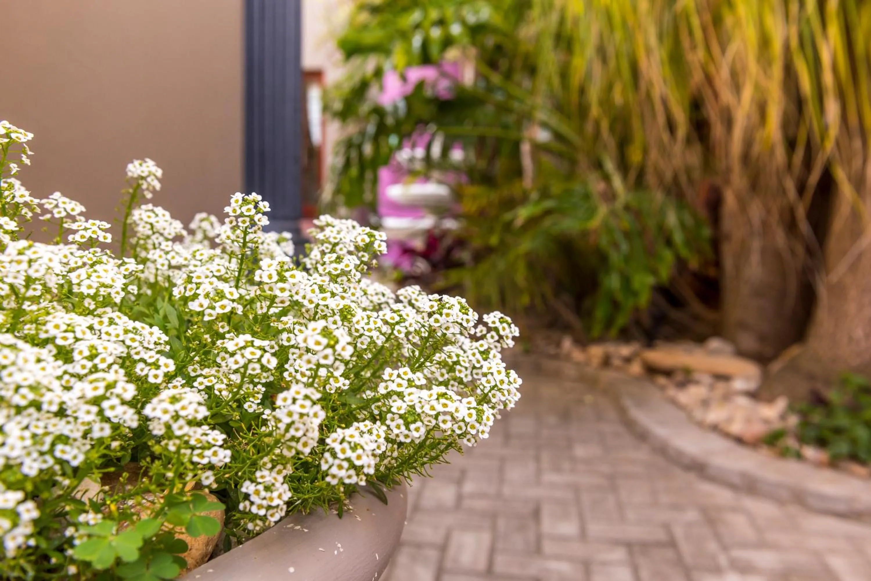 Garden in Kingfisher GuestHouse