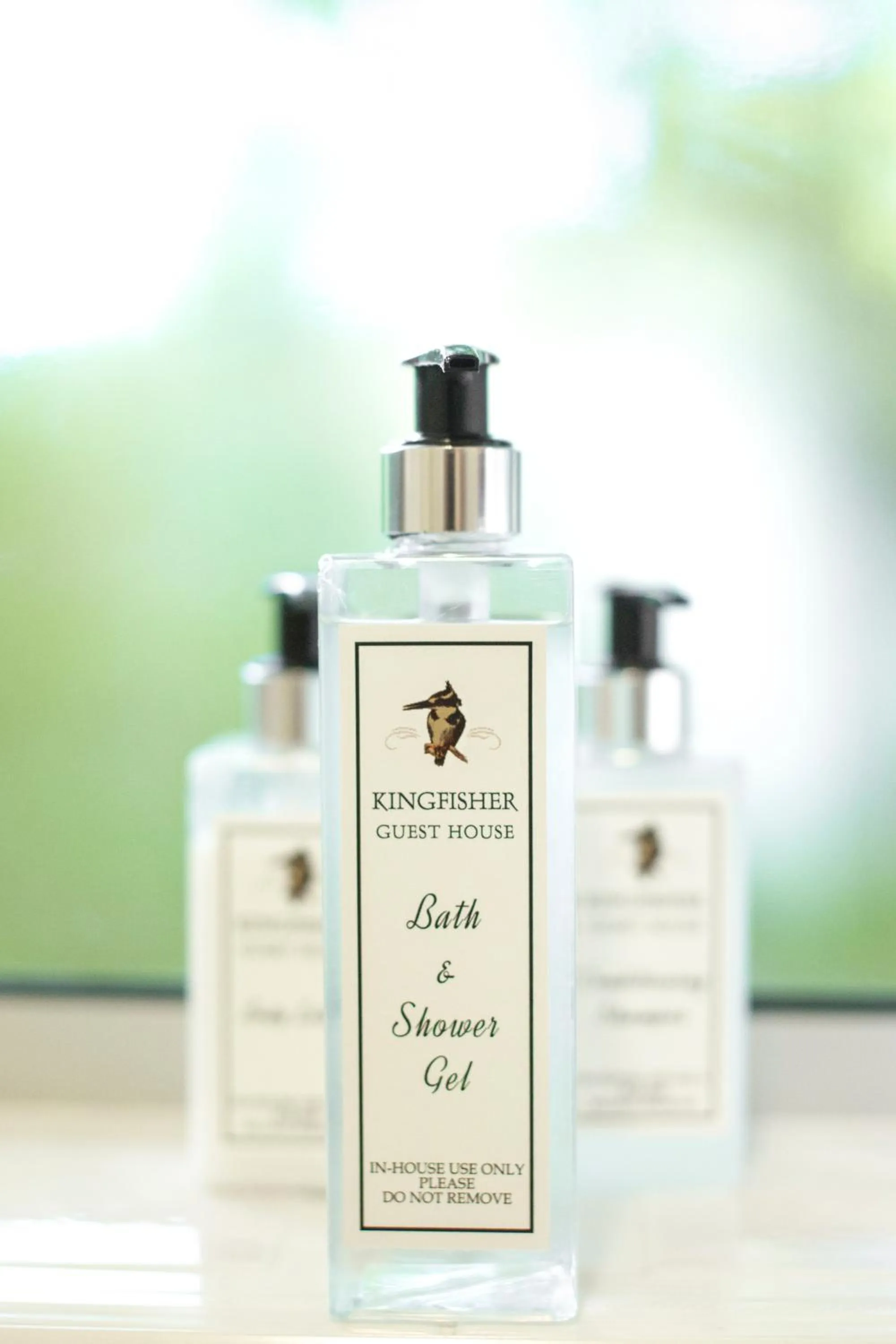 Decorative detail in Kingfisher GuestHouse