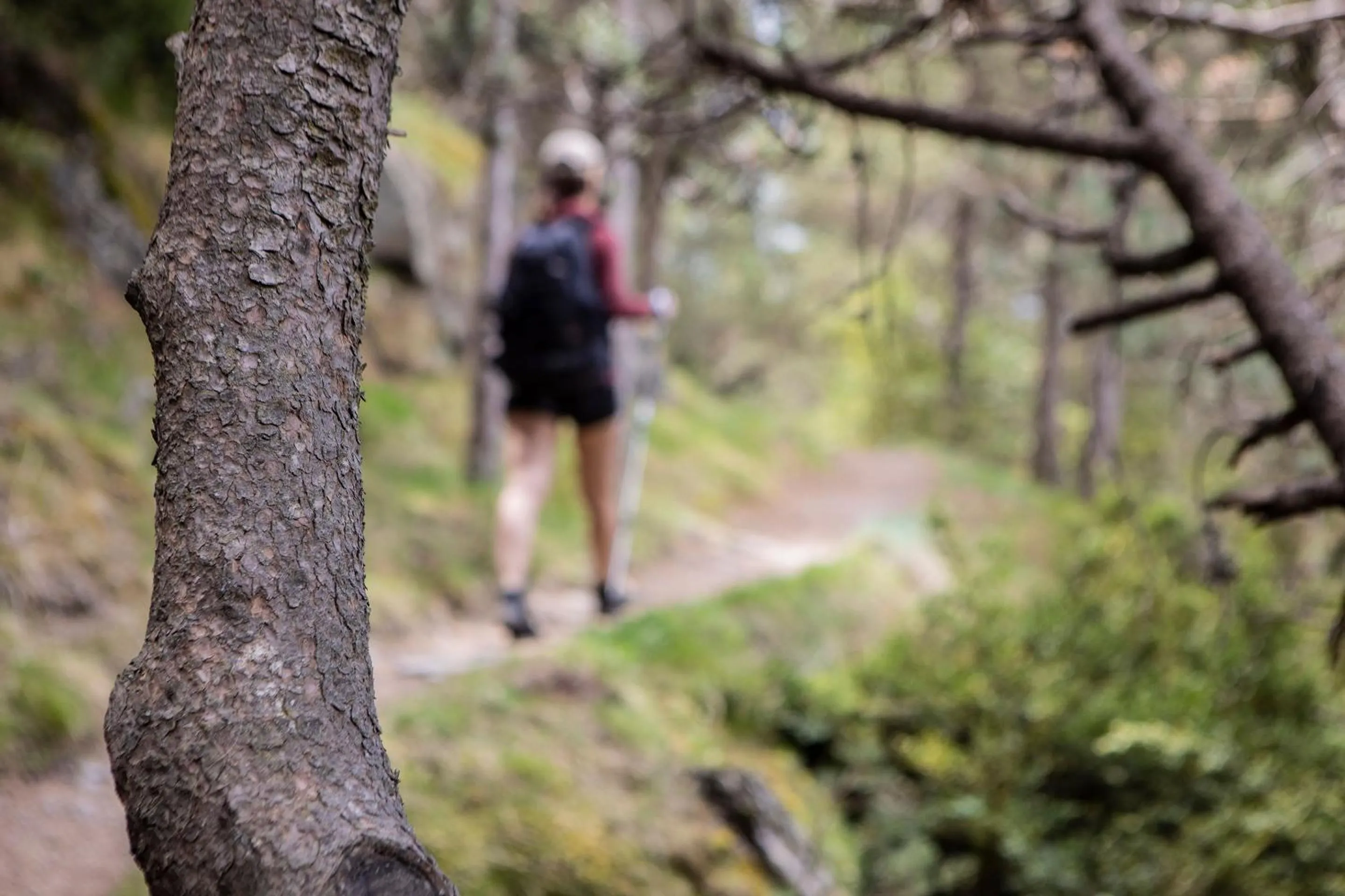 Hiking in Hotel Piolets Soldeu Centre by Nexta