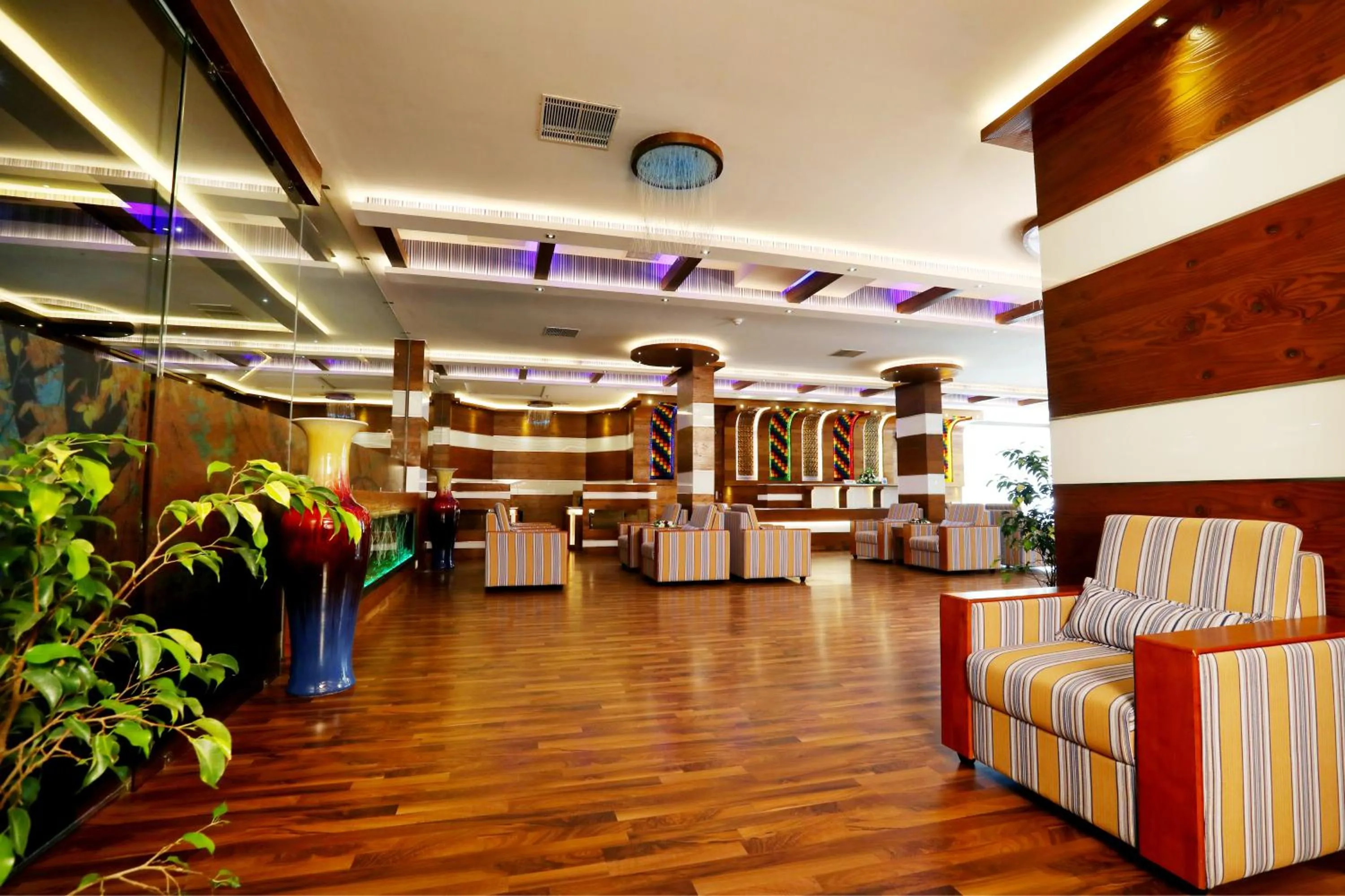 Lobby or reception in Hotel Blue Nile