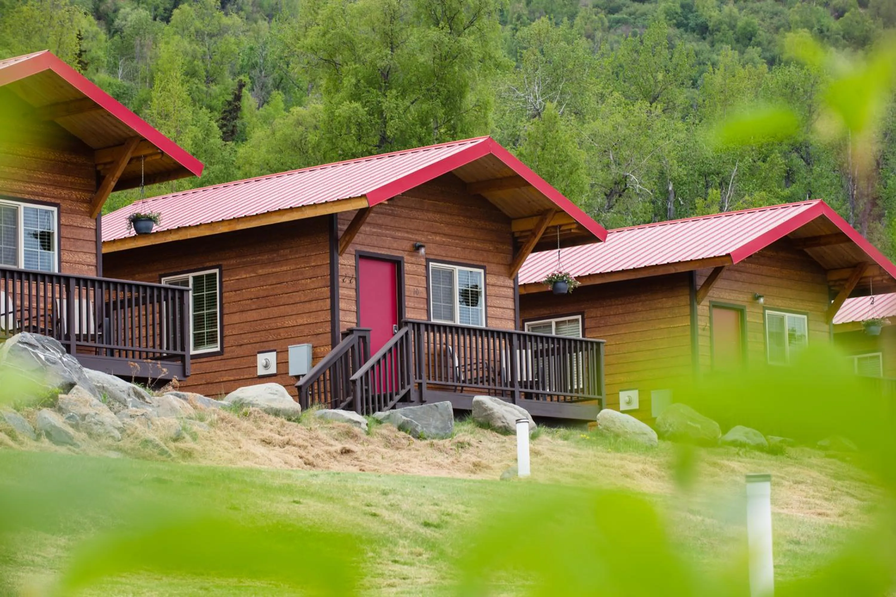 Natural landscape in Alaska Glacier Lodge