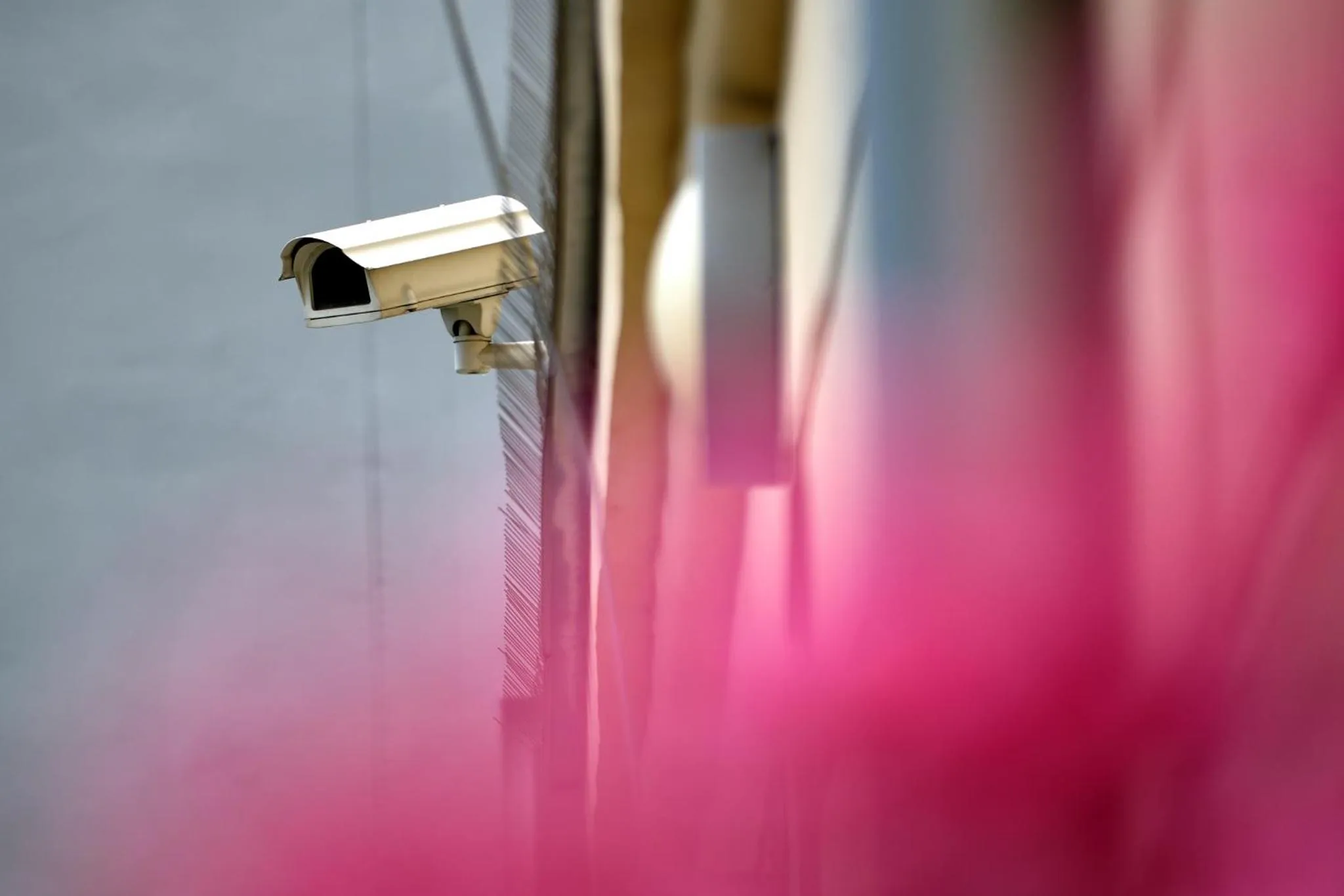 Other in Centrum Salvator