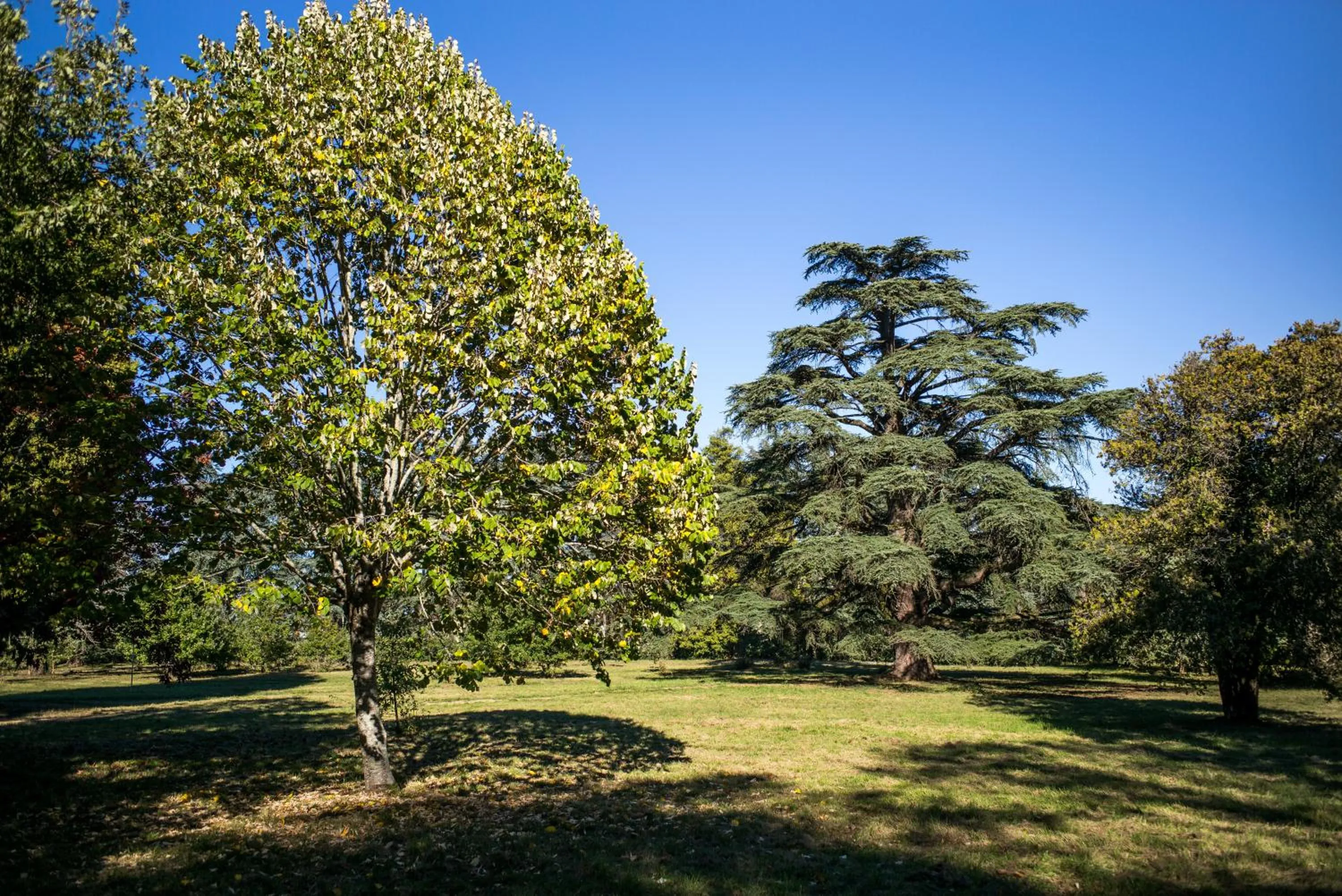 Garden in Best Western Premier Le Domaine de Montjoie