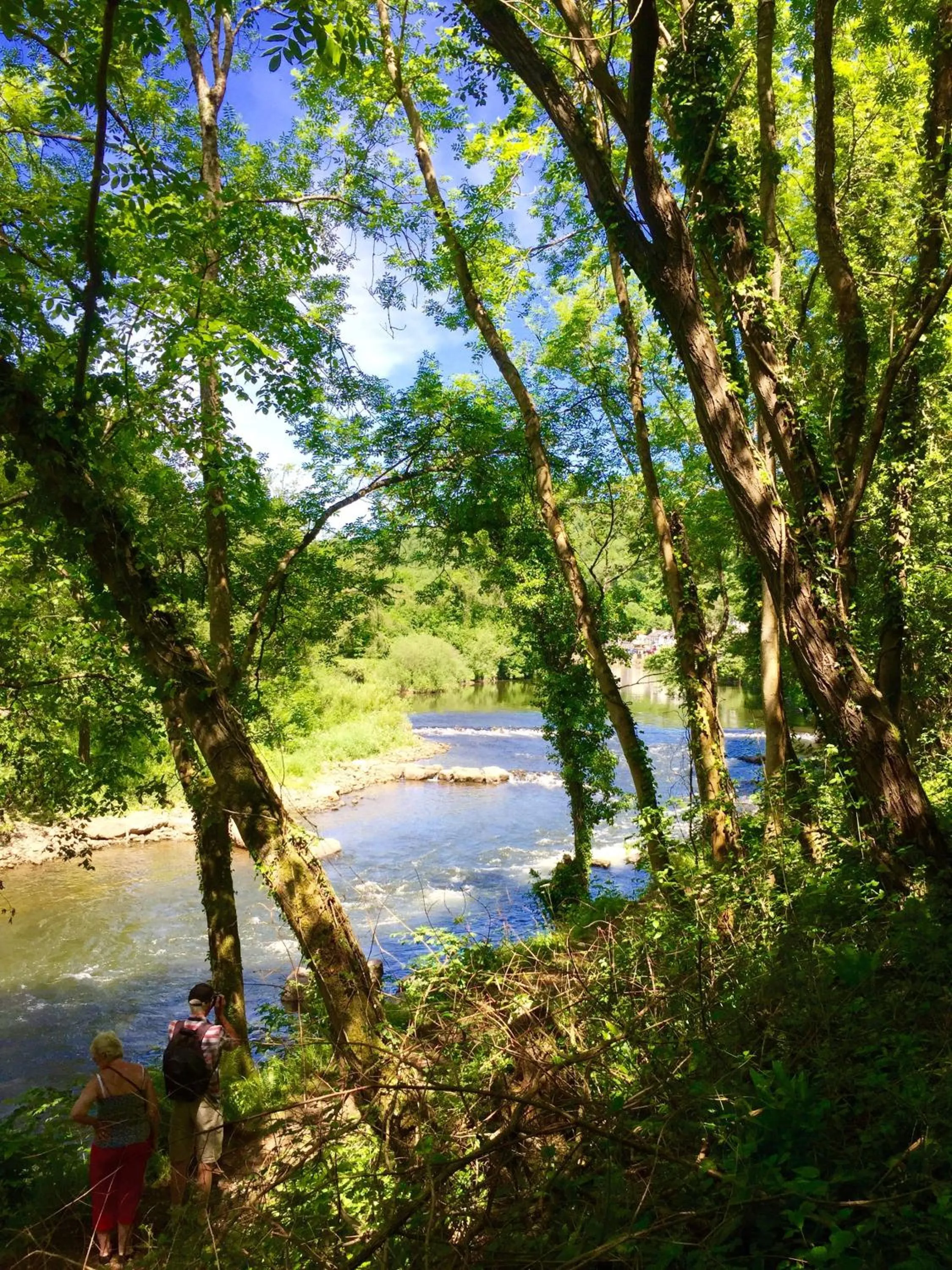 Natural landscape in Glewstone Court Country House Hotel