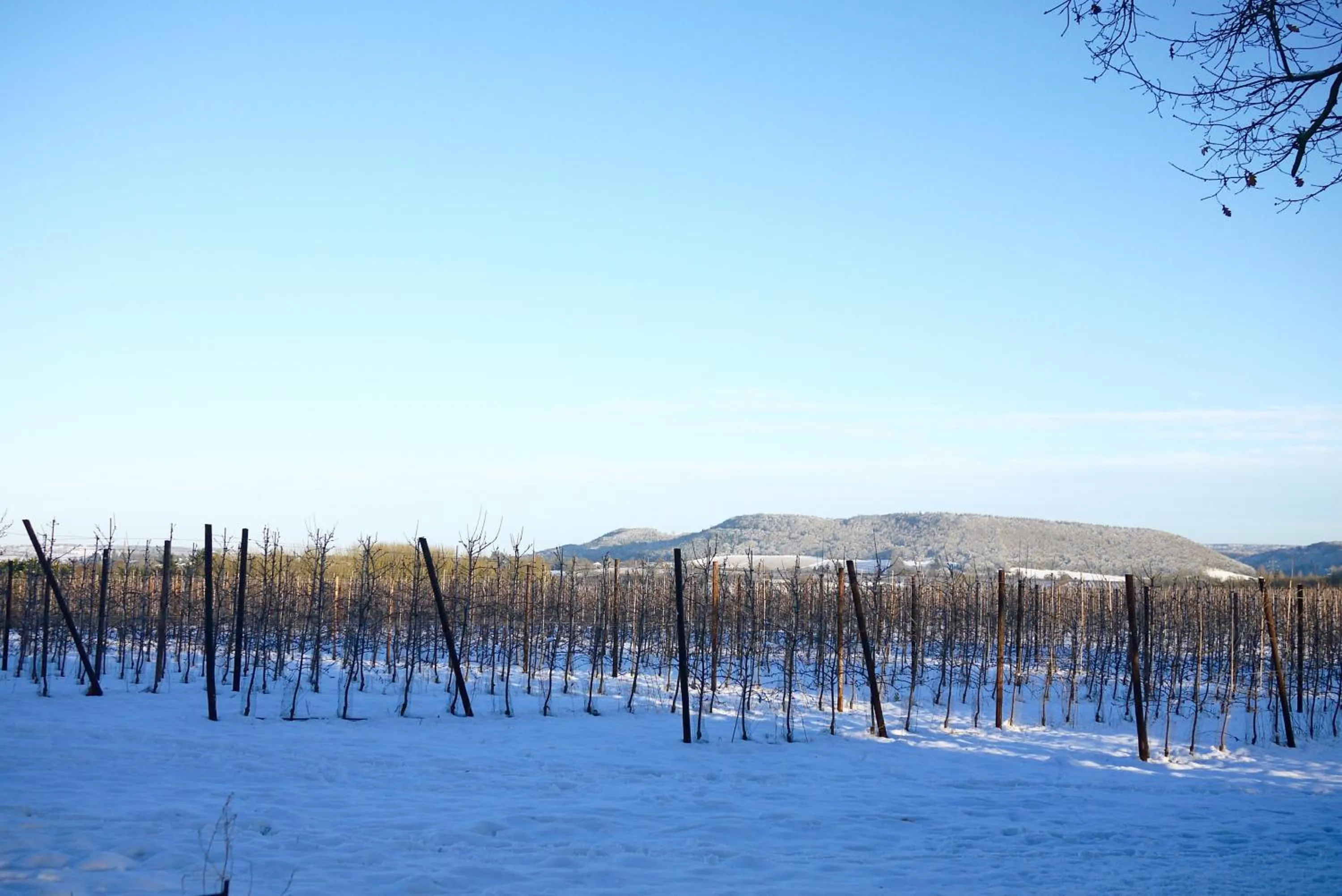 Winter in Glewstone Court Country House Hotel