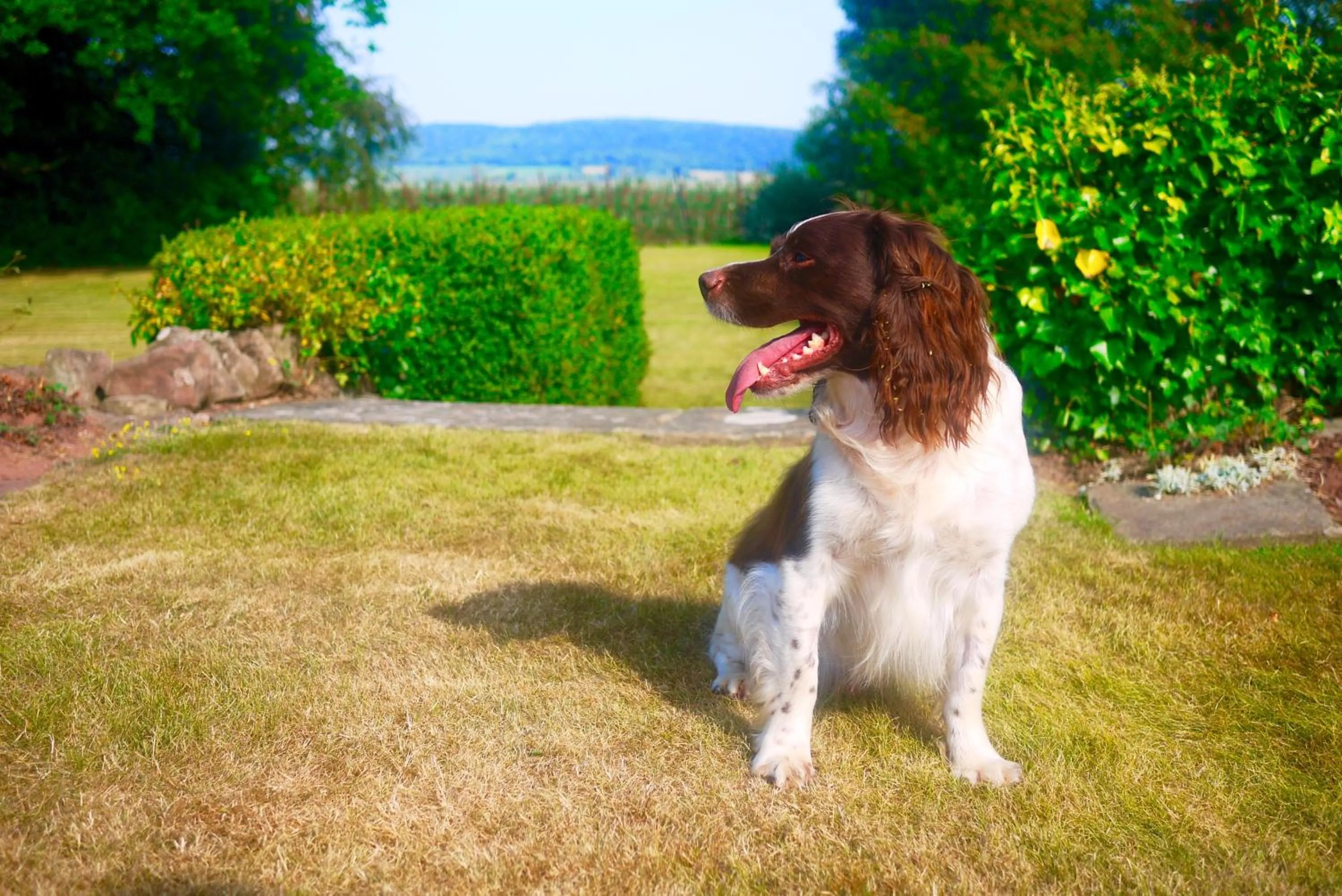 Glewstone Court Country House Hotel